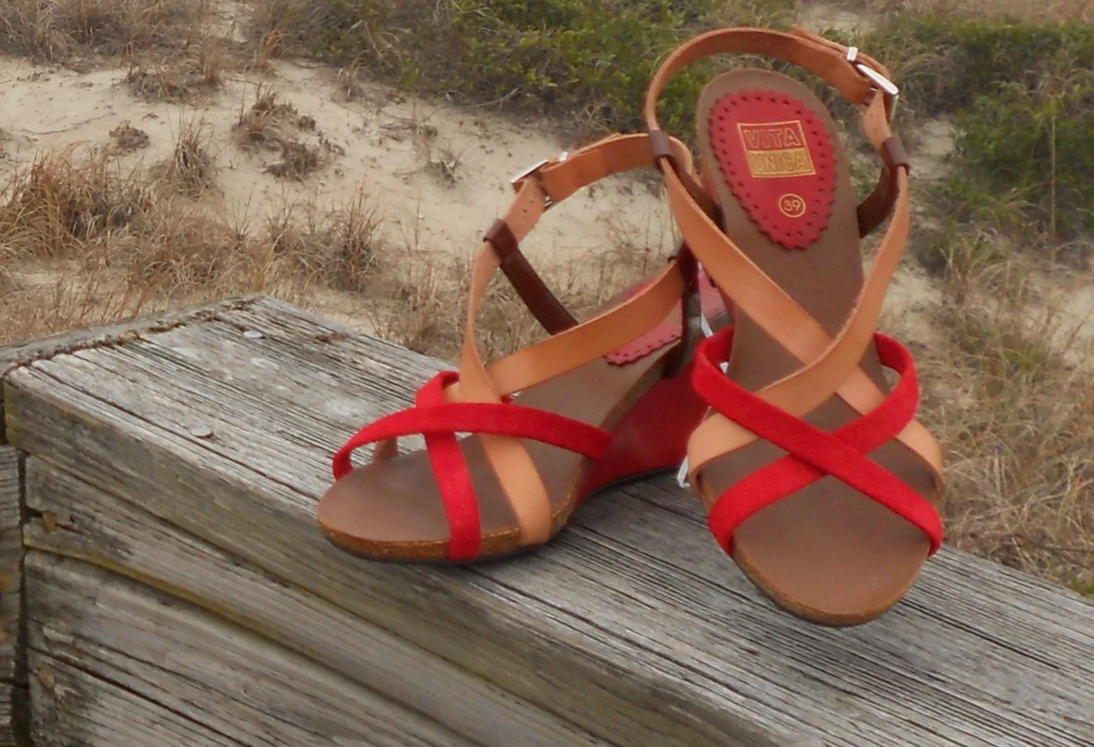 homepage 2.jpg