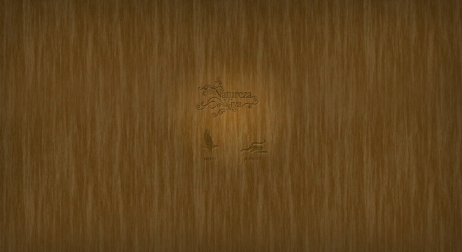 Natureza Viva was a collaborative online experience where you could sew on screen.