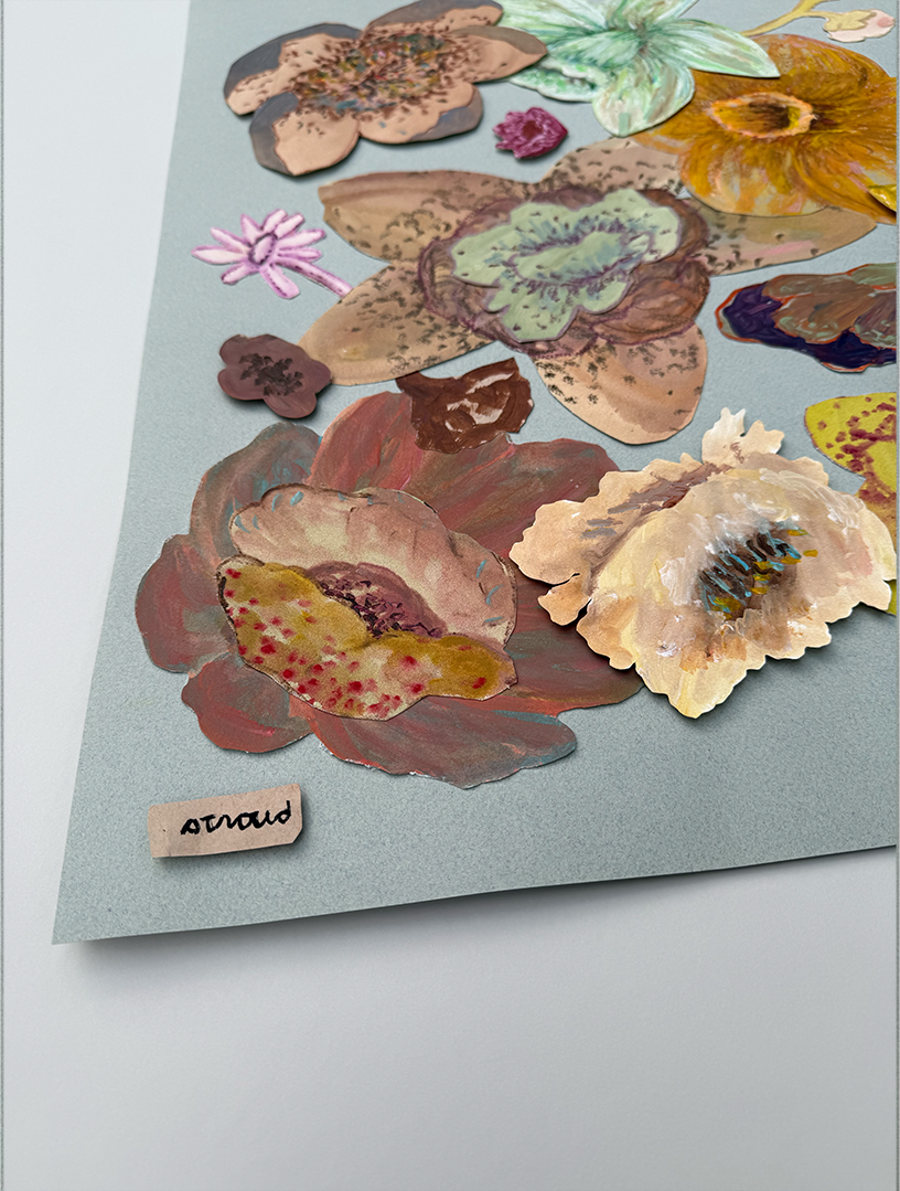 Untitled-4 copy 2.png