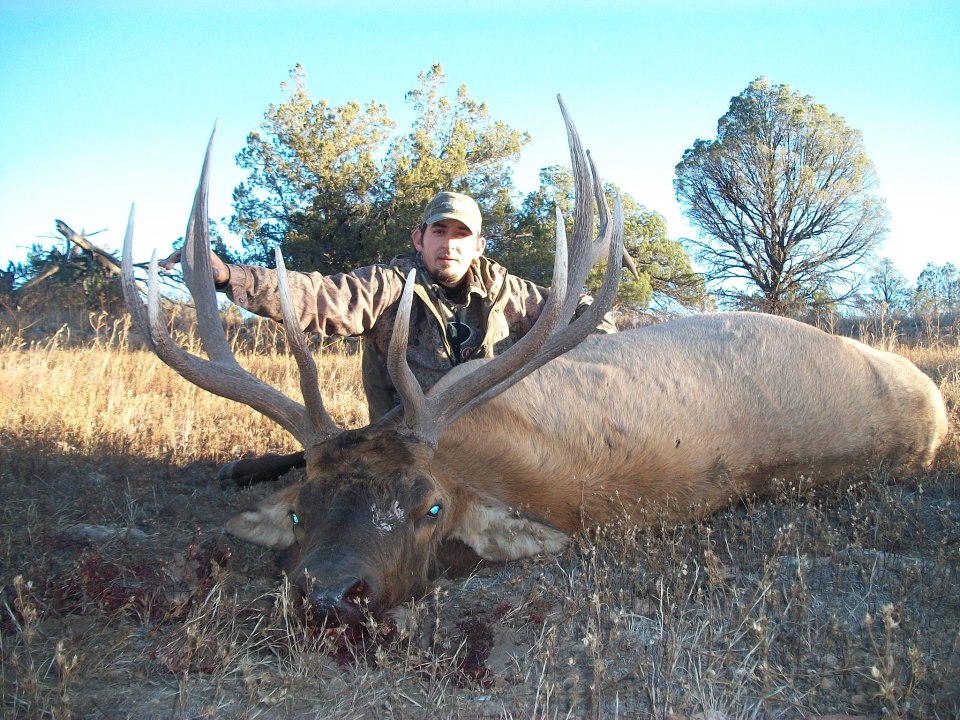 Elk 15 .jpg