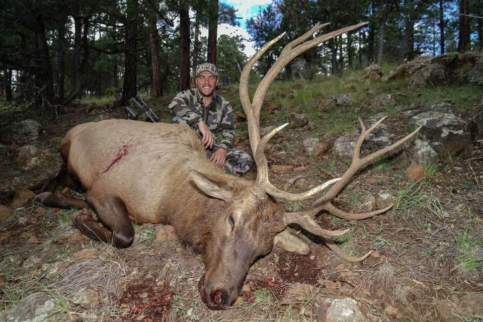 Elk 25.jpg