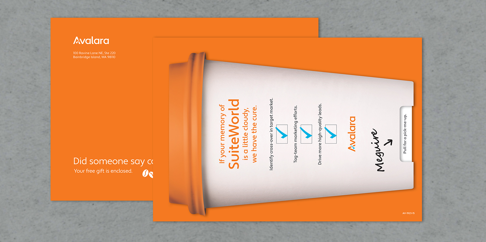 LeadNurture-Avalara-NetSuite2.jpg