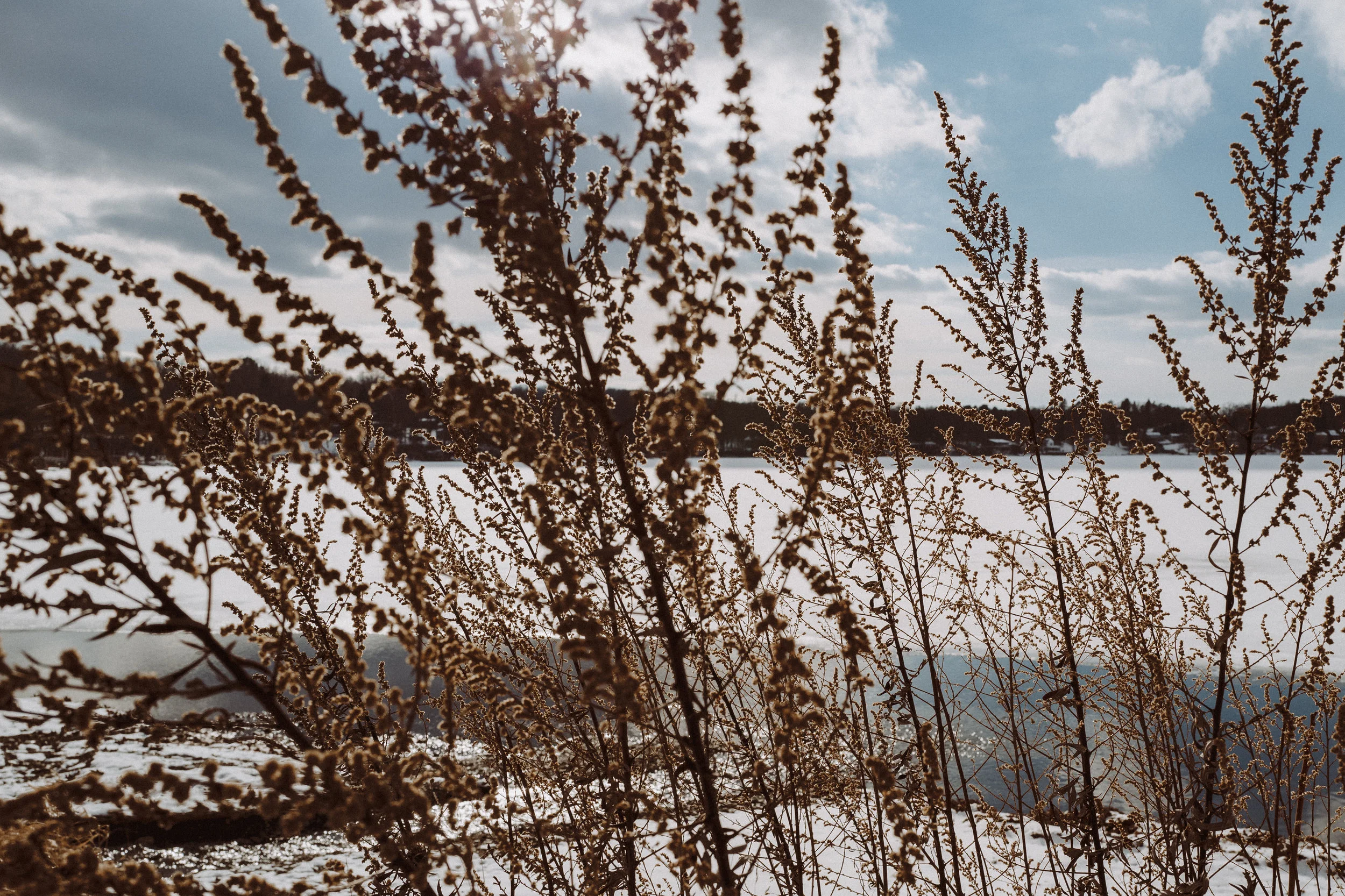 L1010489.jpg