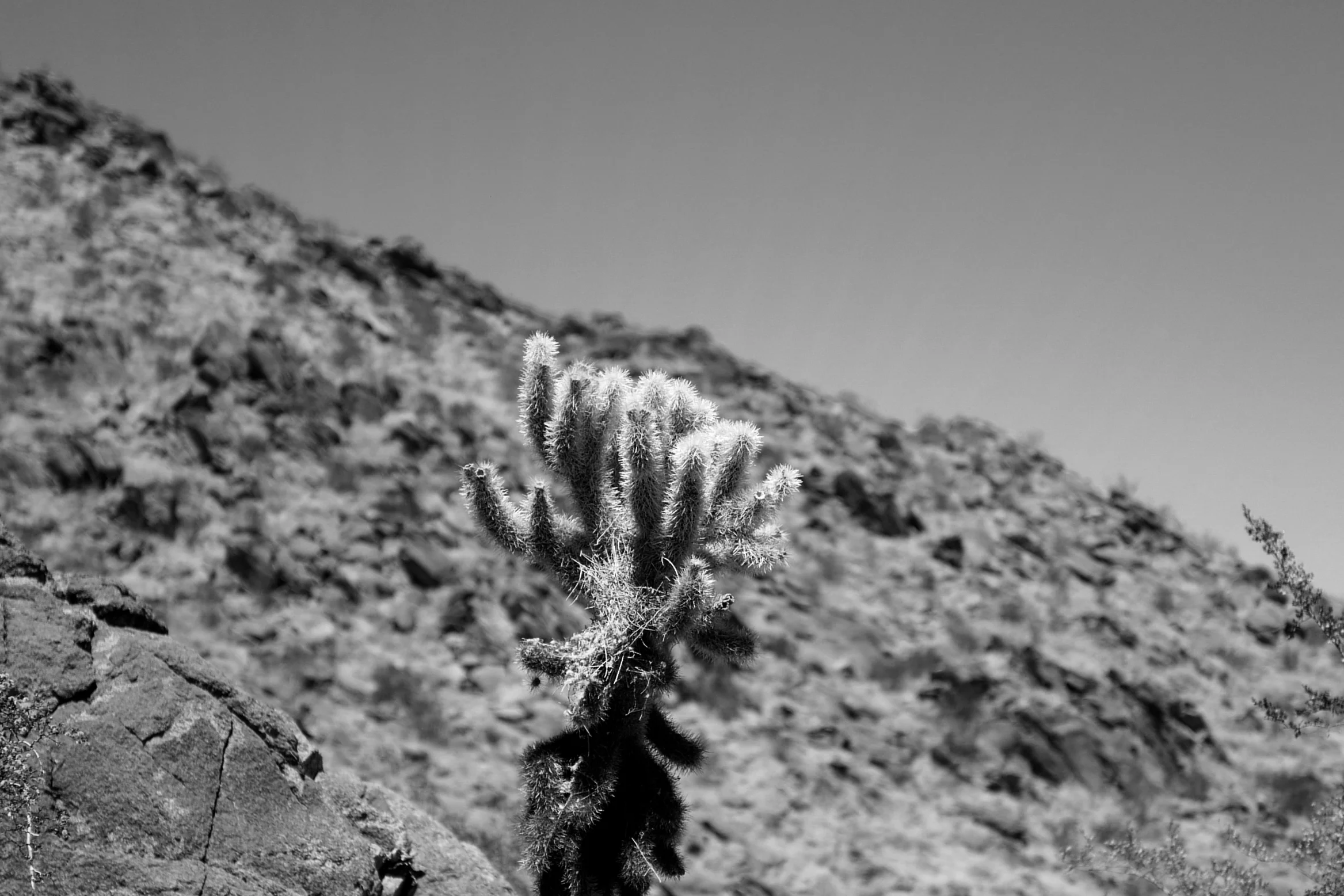 L1000158.jpg