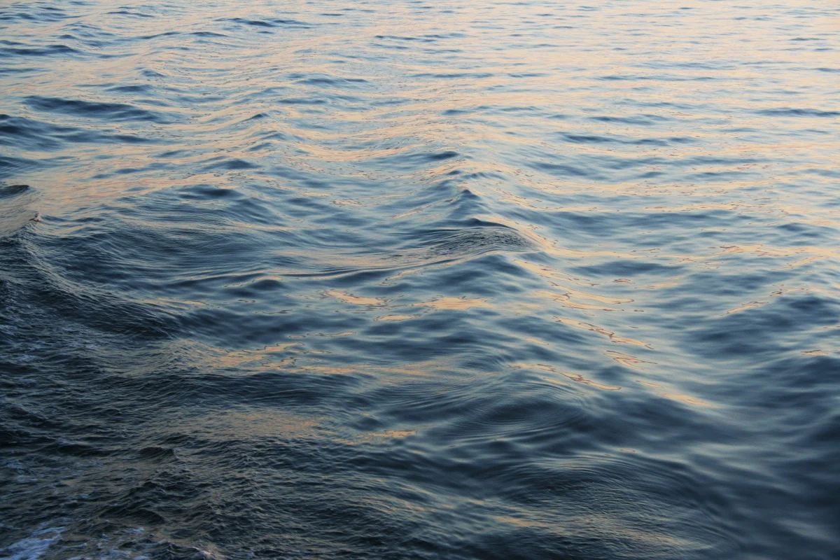 si_deep_undercurrent.jpg