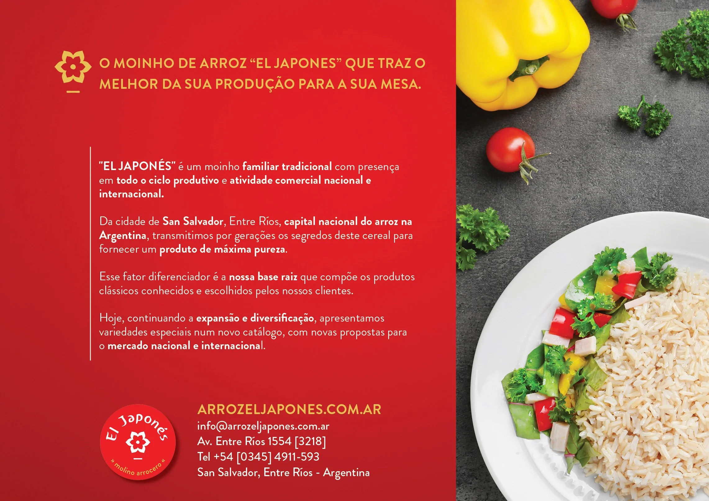 Catalogo_AEJ_2025_JUN_Portugues3.jpg