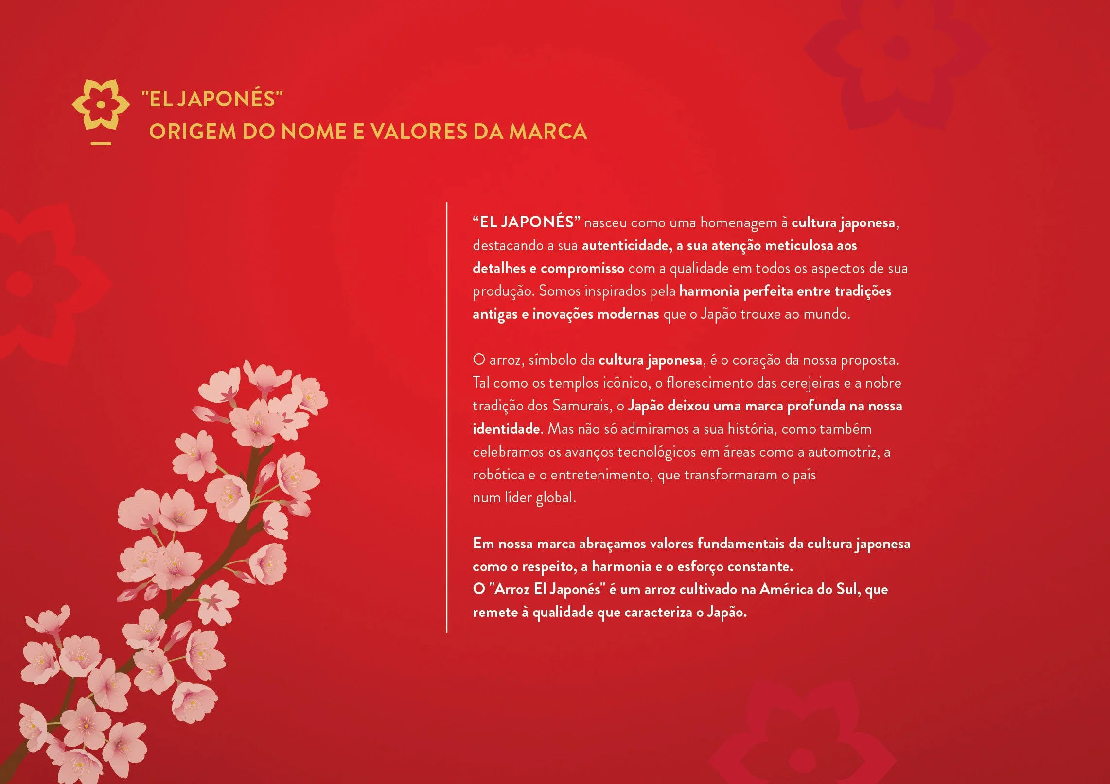 Catalogo_AEJ_2025_JUN_Portugues4.jpg