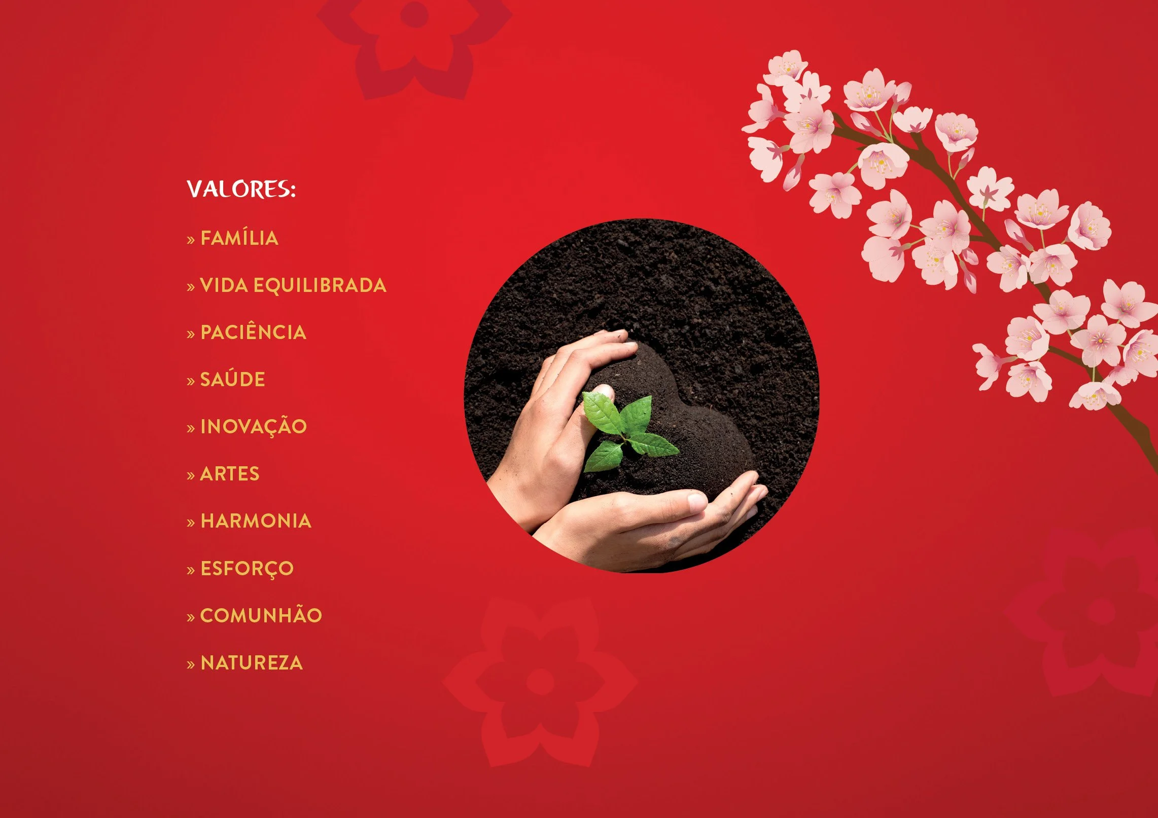 Catalogo_AEJ_2025_JUN_Portugues5.jpg