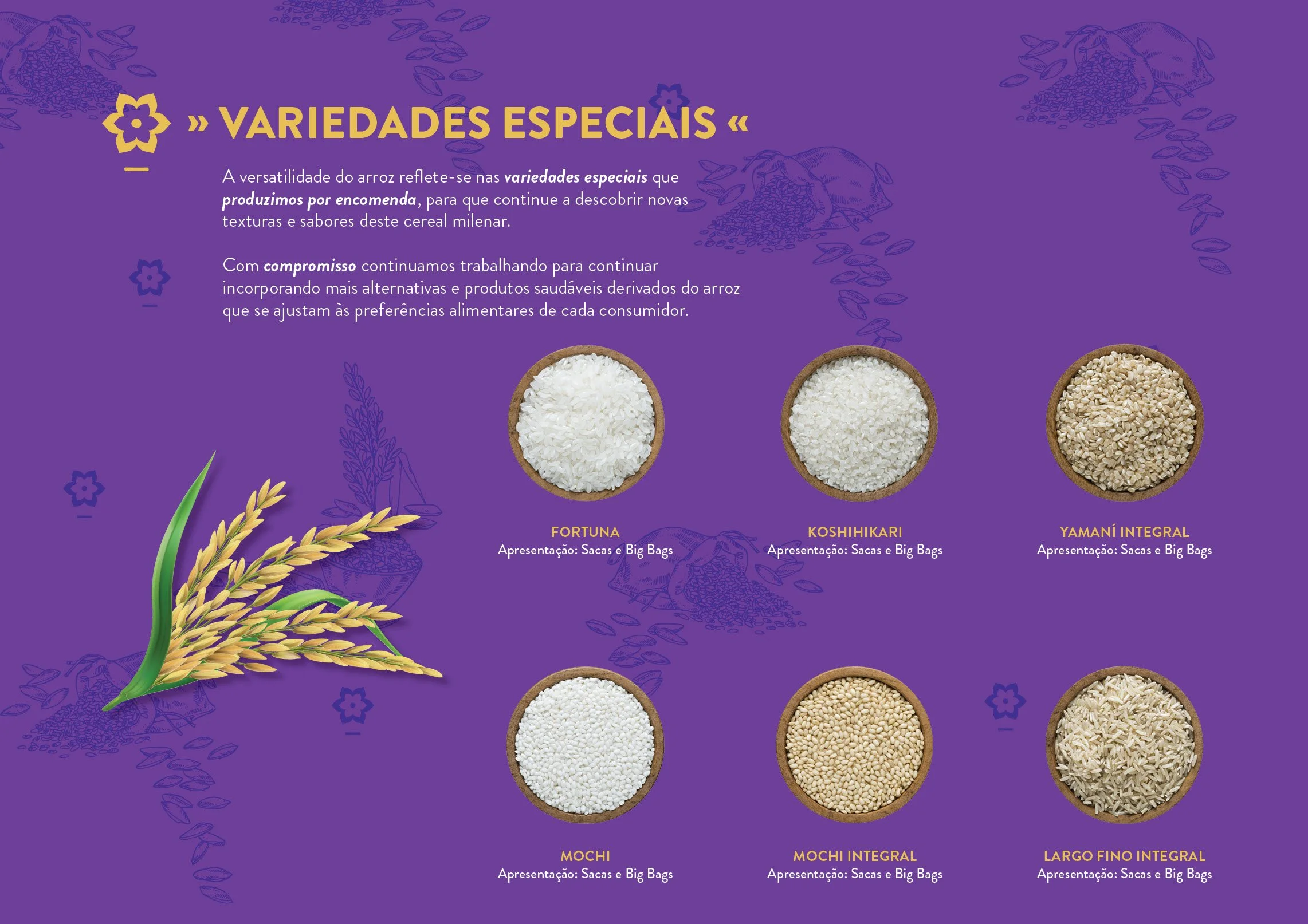 Catalogo_AEJ_2025_JUN_Portugues9.jpg