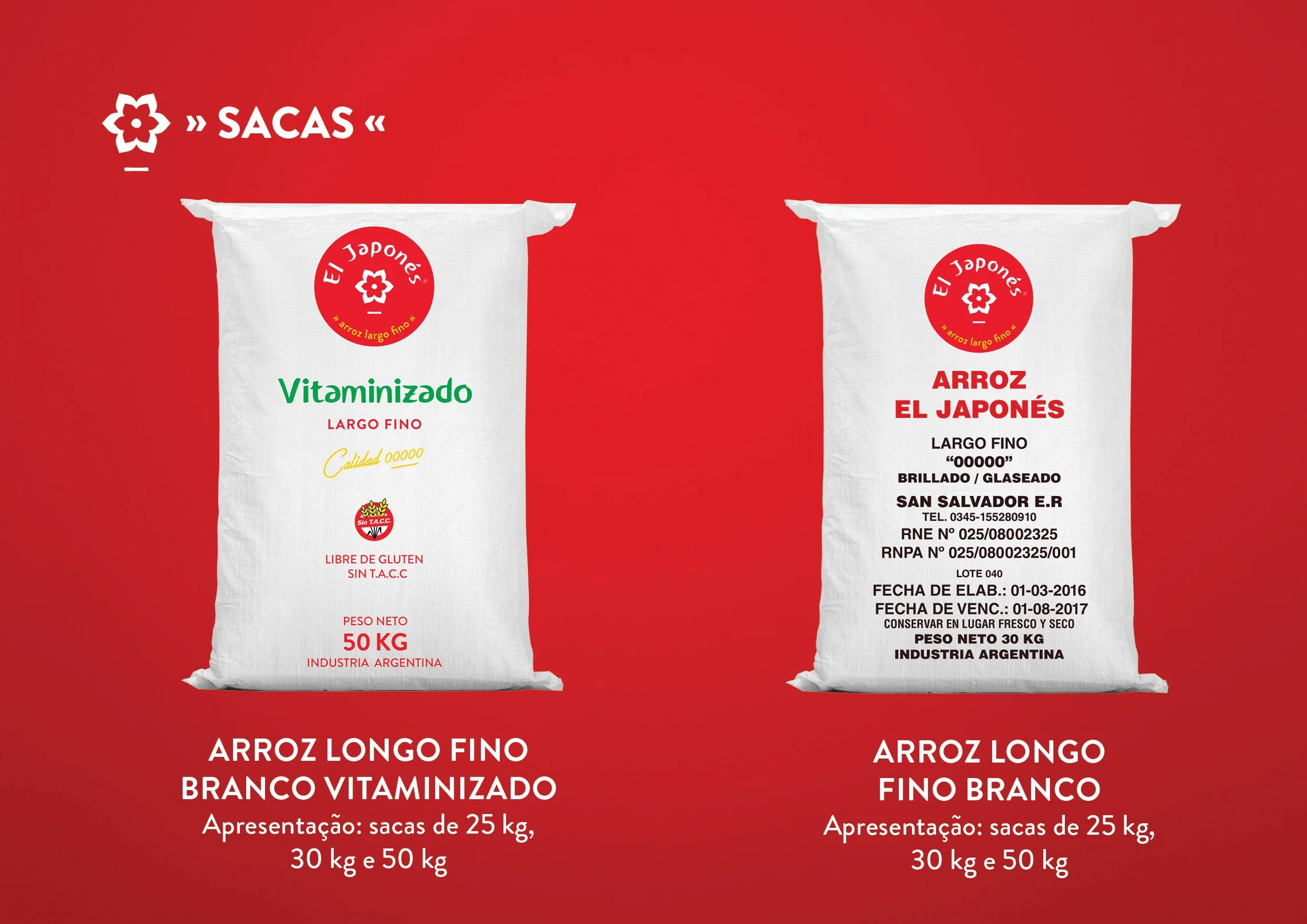 Catalogo_AEJ_2025_JUN_Portugues10.jpg