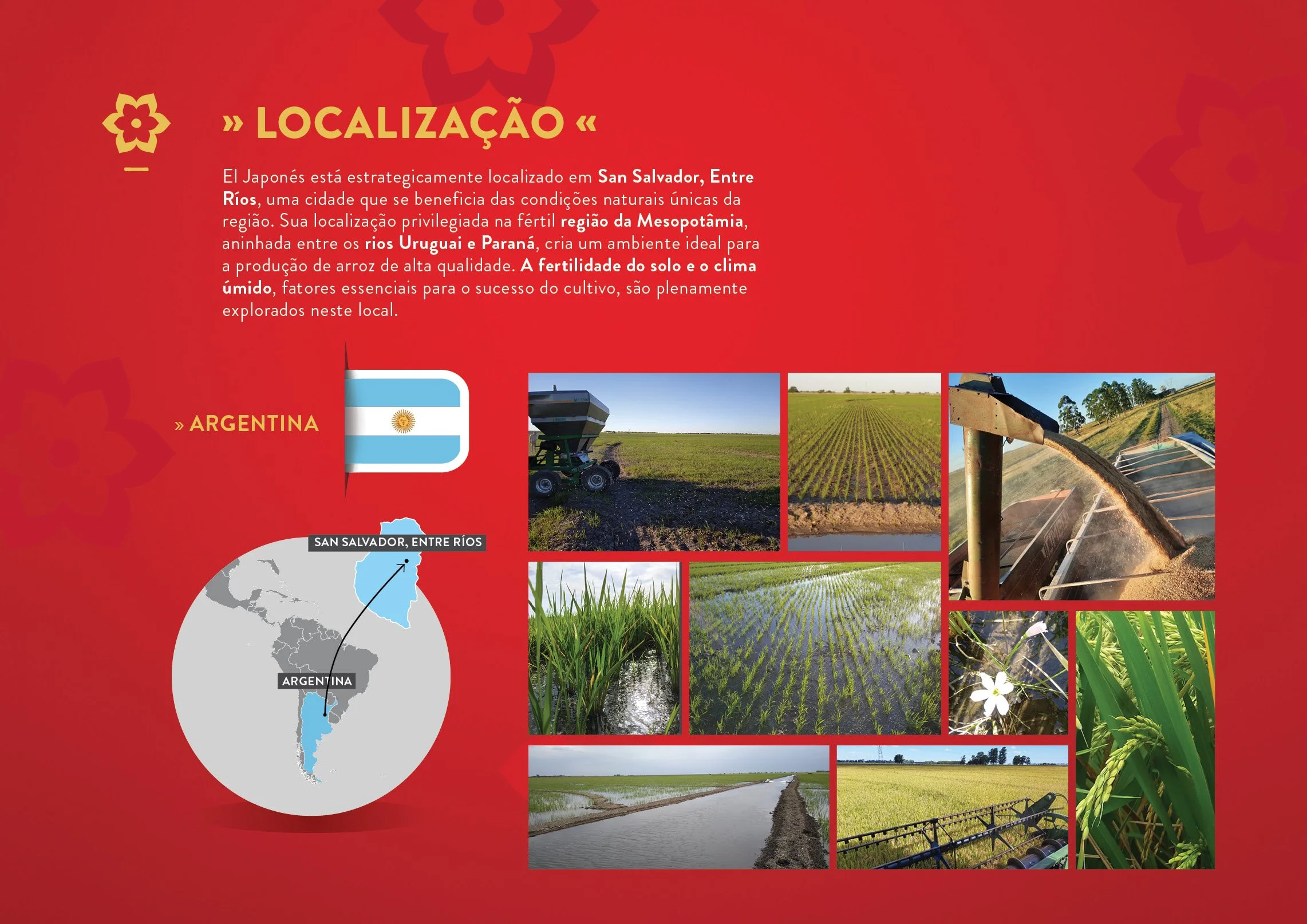 Catalogo_AEJ_2025_JUN_Portugues12.jpg