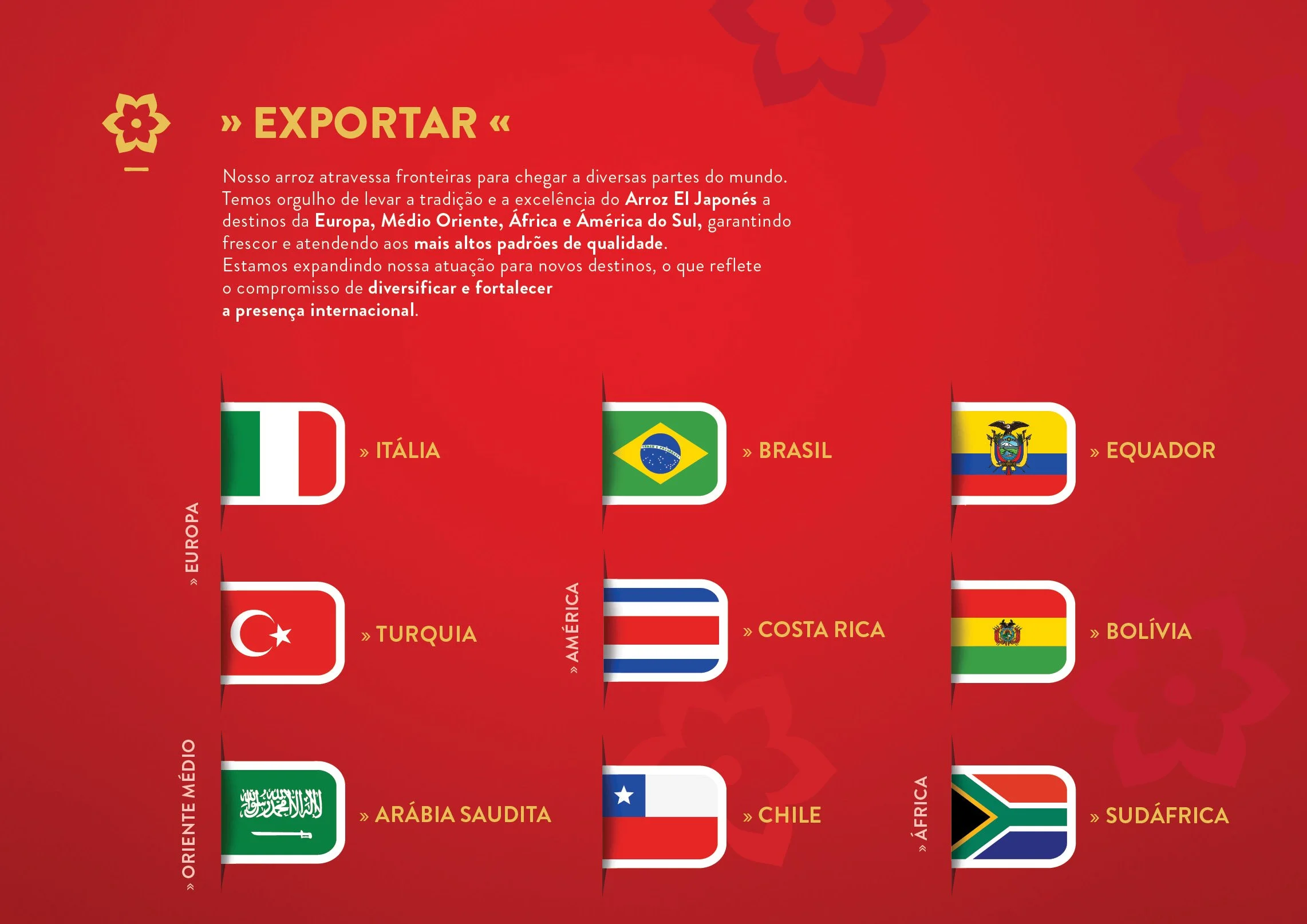 Catalogo_AEJ_2025_JUN_Portugues13.jpg