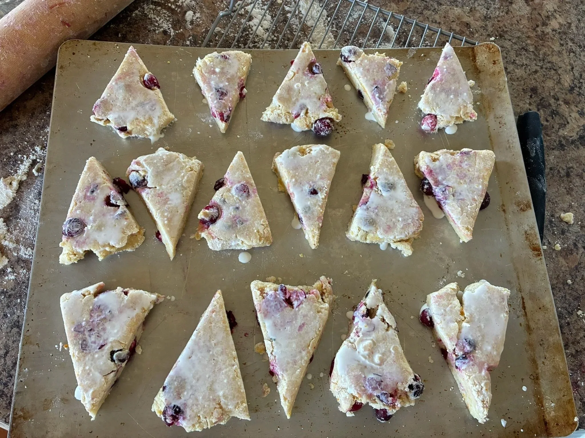 IMG_4295.JPEG