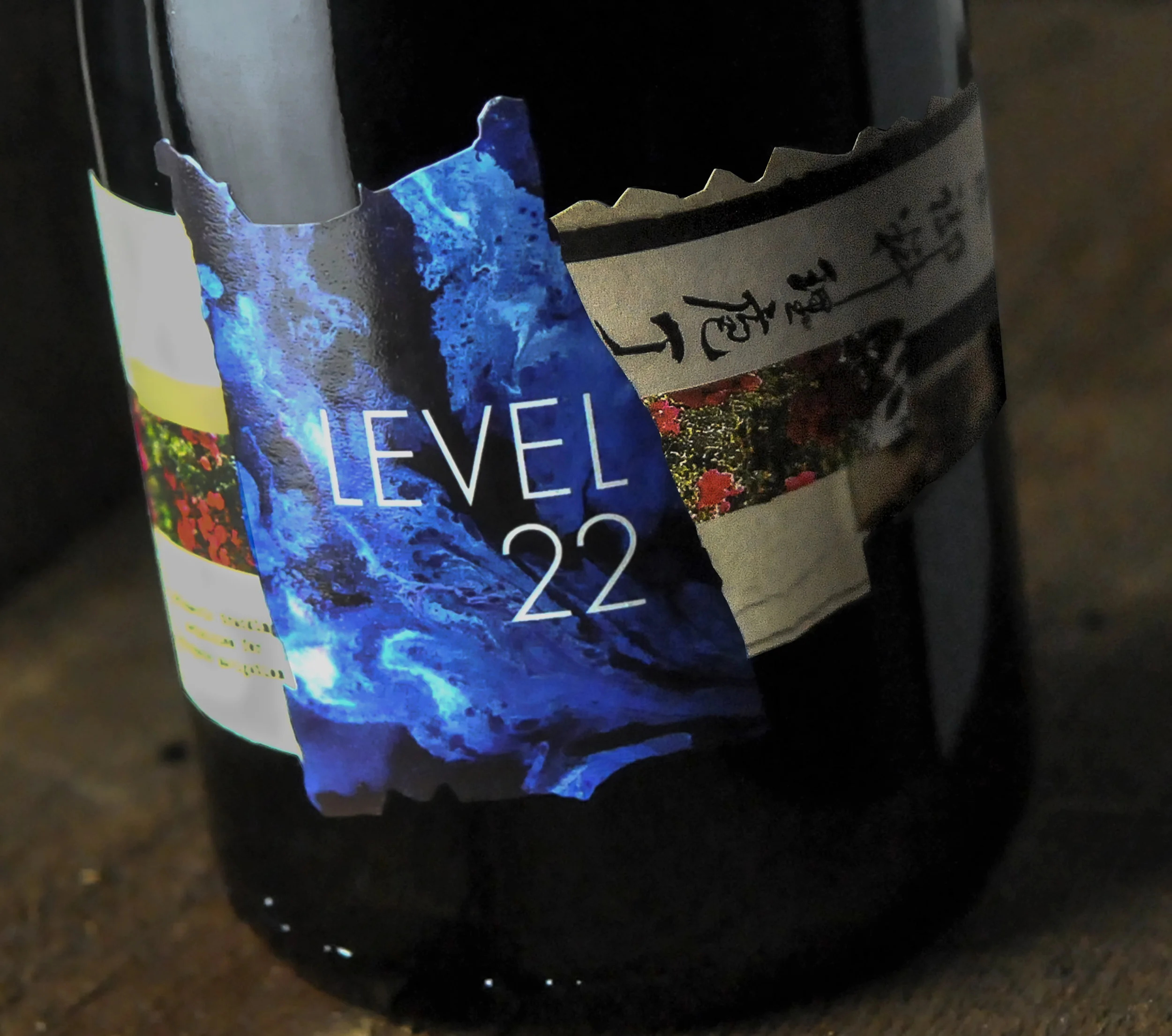 Level 22 Close Up New.jpg