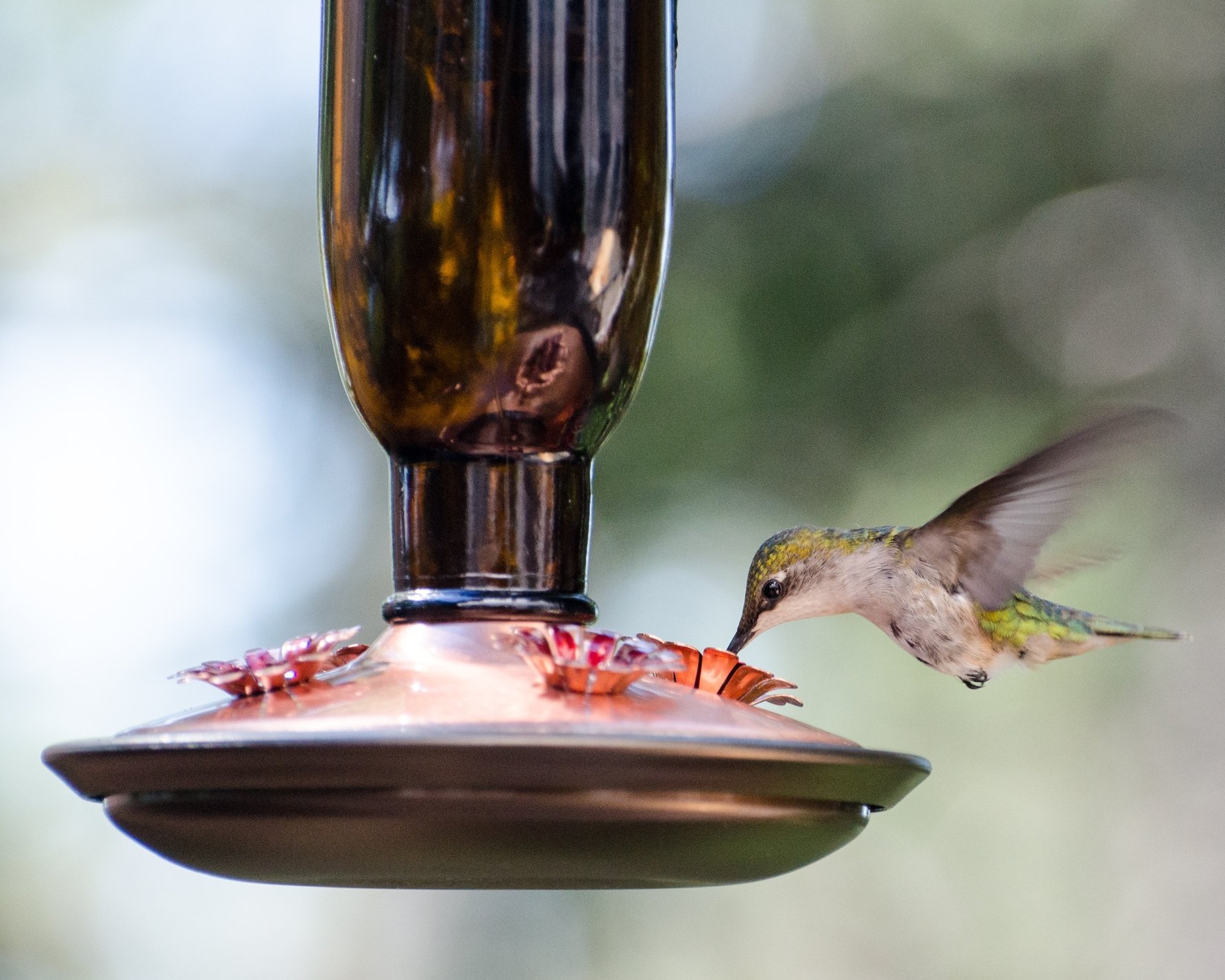 photo courtesy of Unsplash @jerang