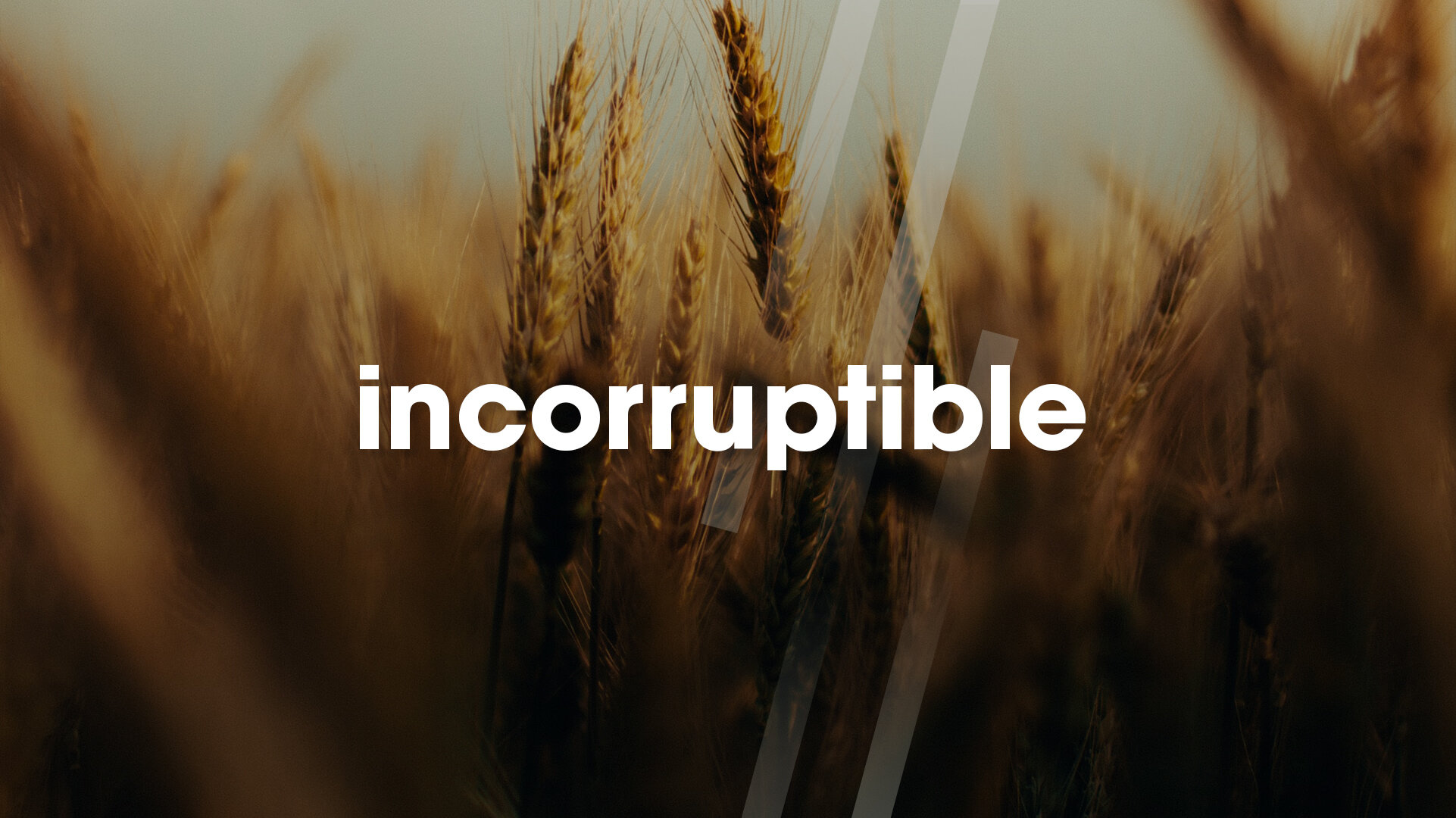 2021-08-20_LVC_Incorruptible.jpg