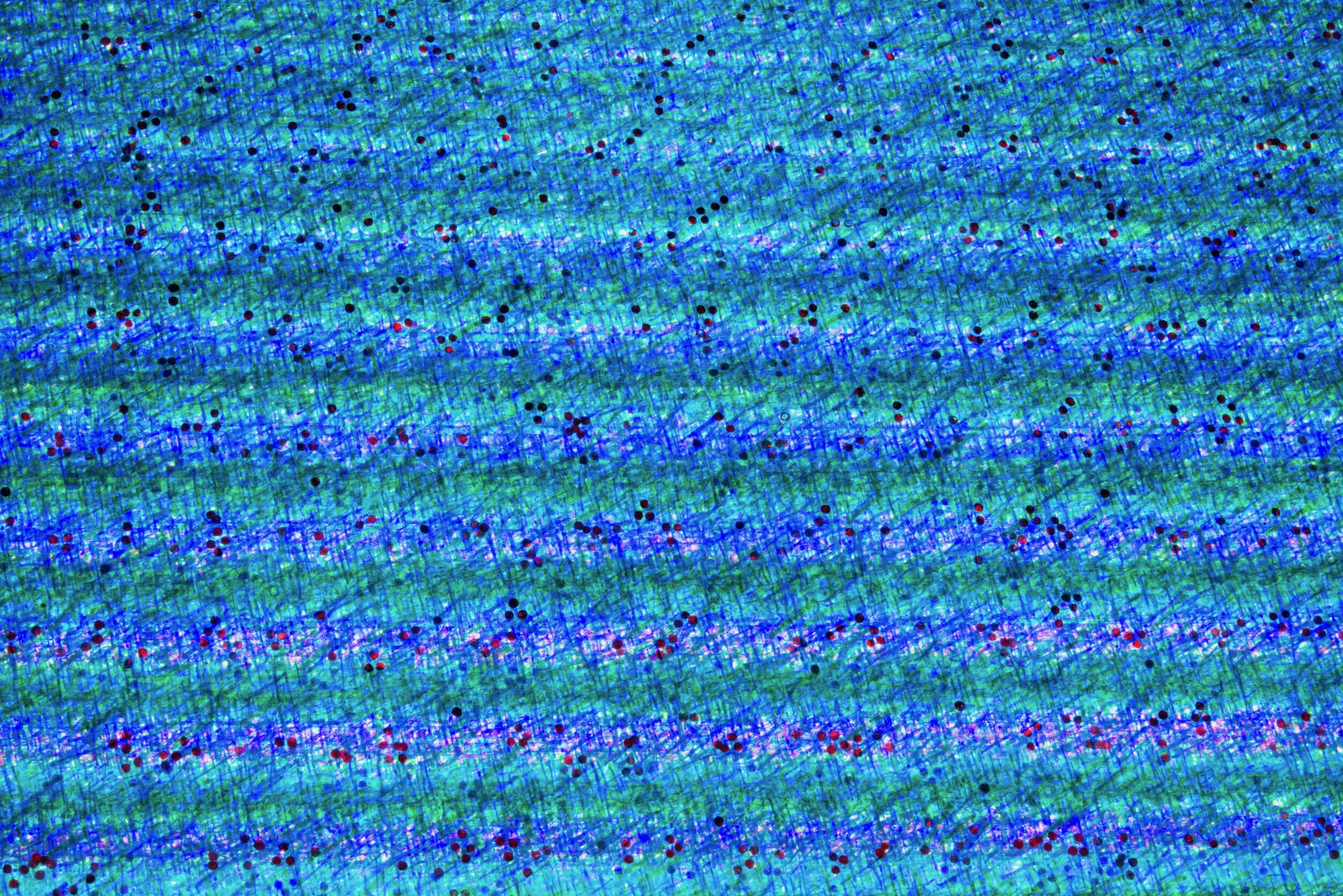 The Rose Quran(Top view detail).jpeg