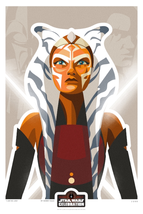 SWCO Ashoka Print.jpg