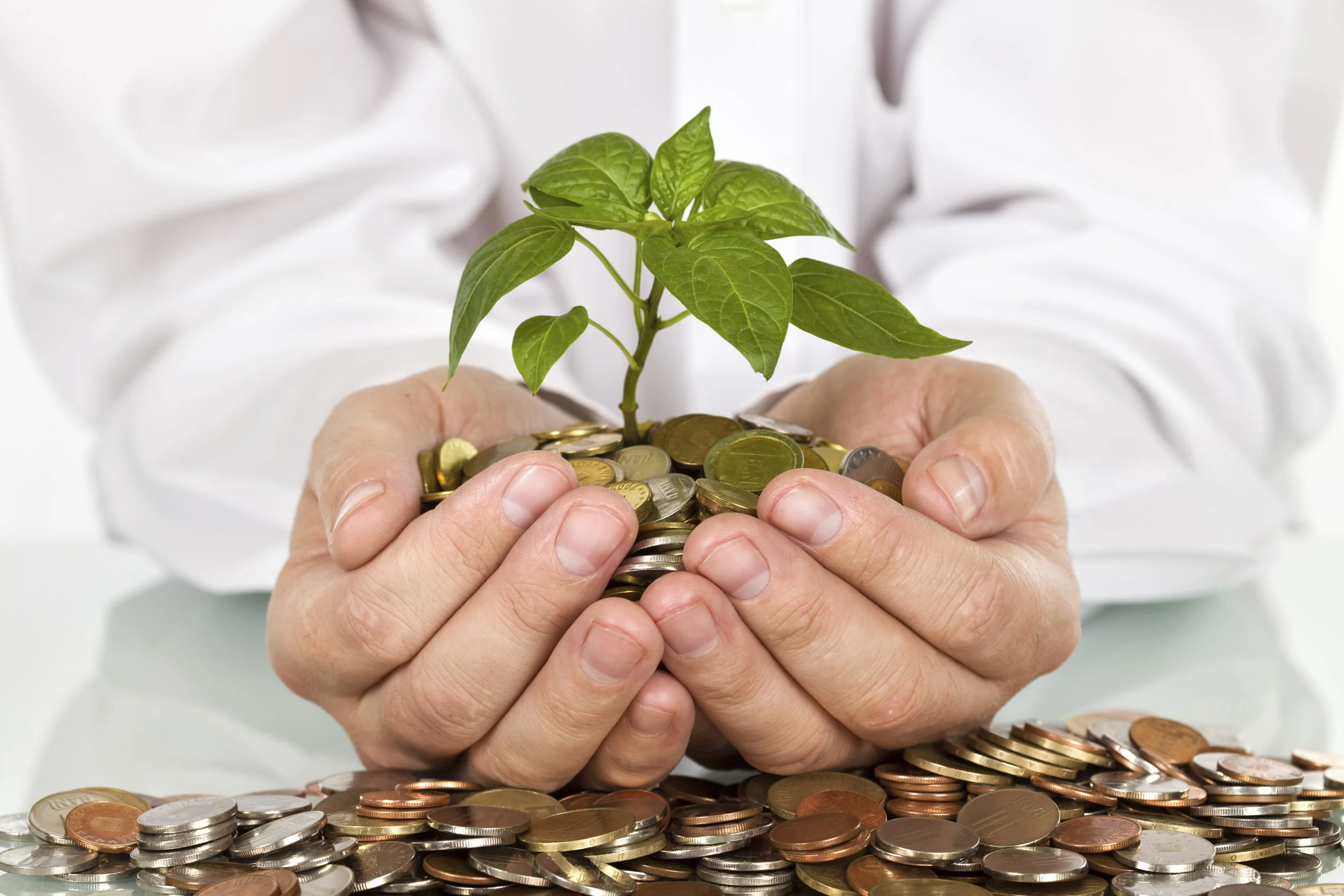 iStock_000009169510_Full.jpg