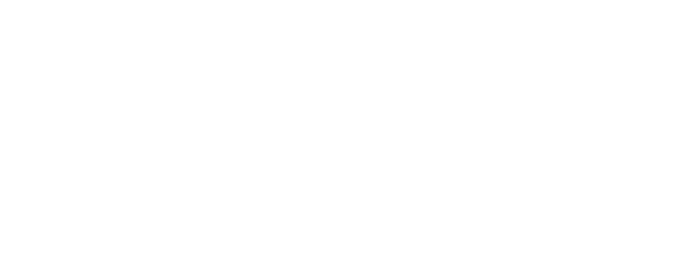 Bay Area Immigration Bond Fund