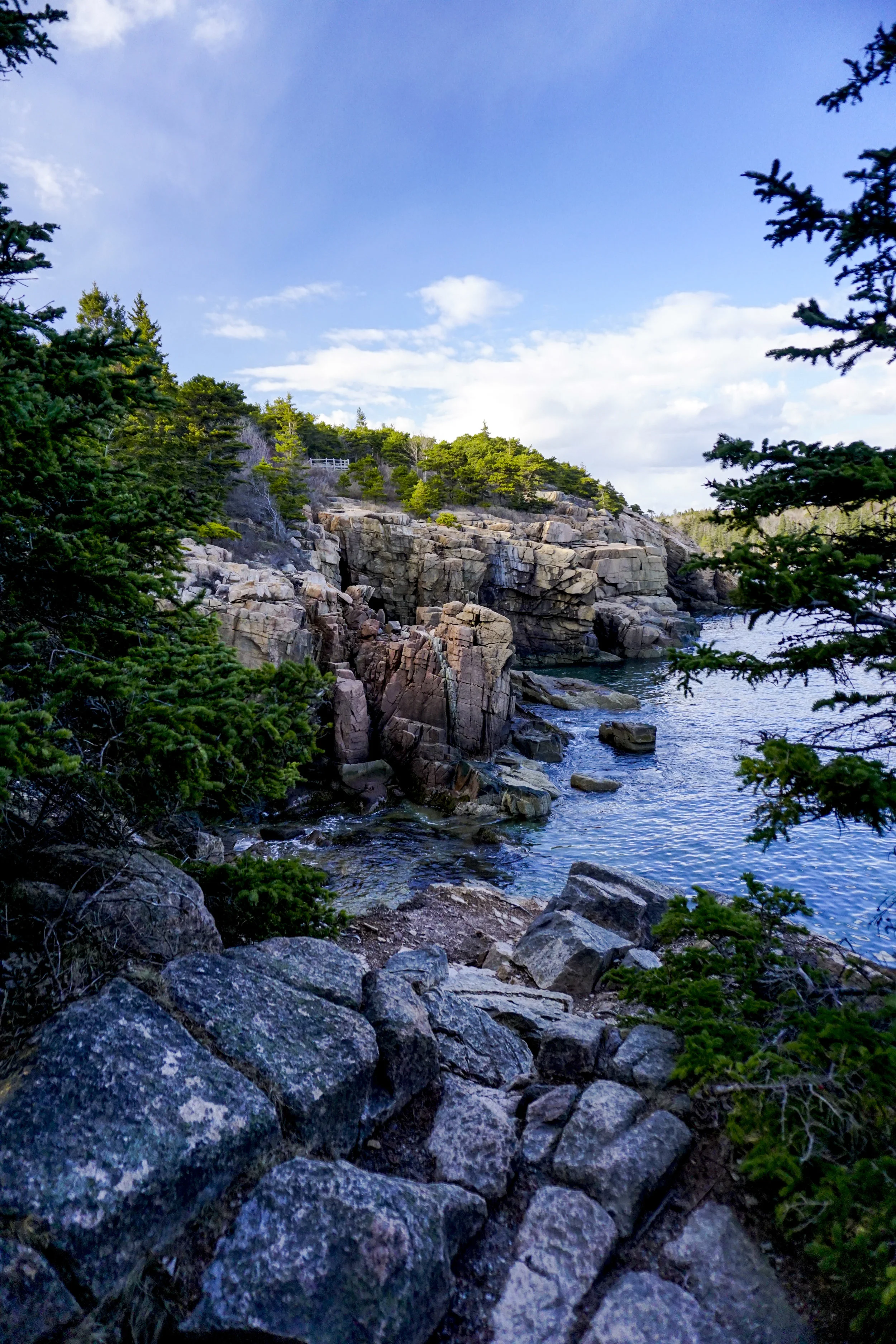 DSC3074 LR-3074.jpg