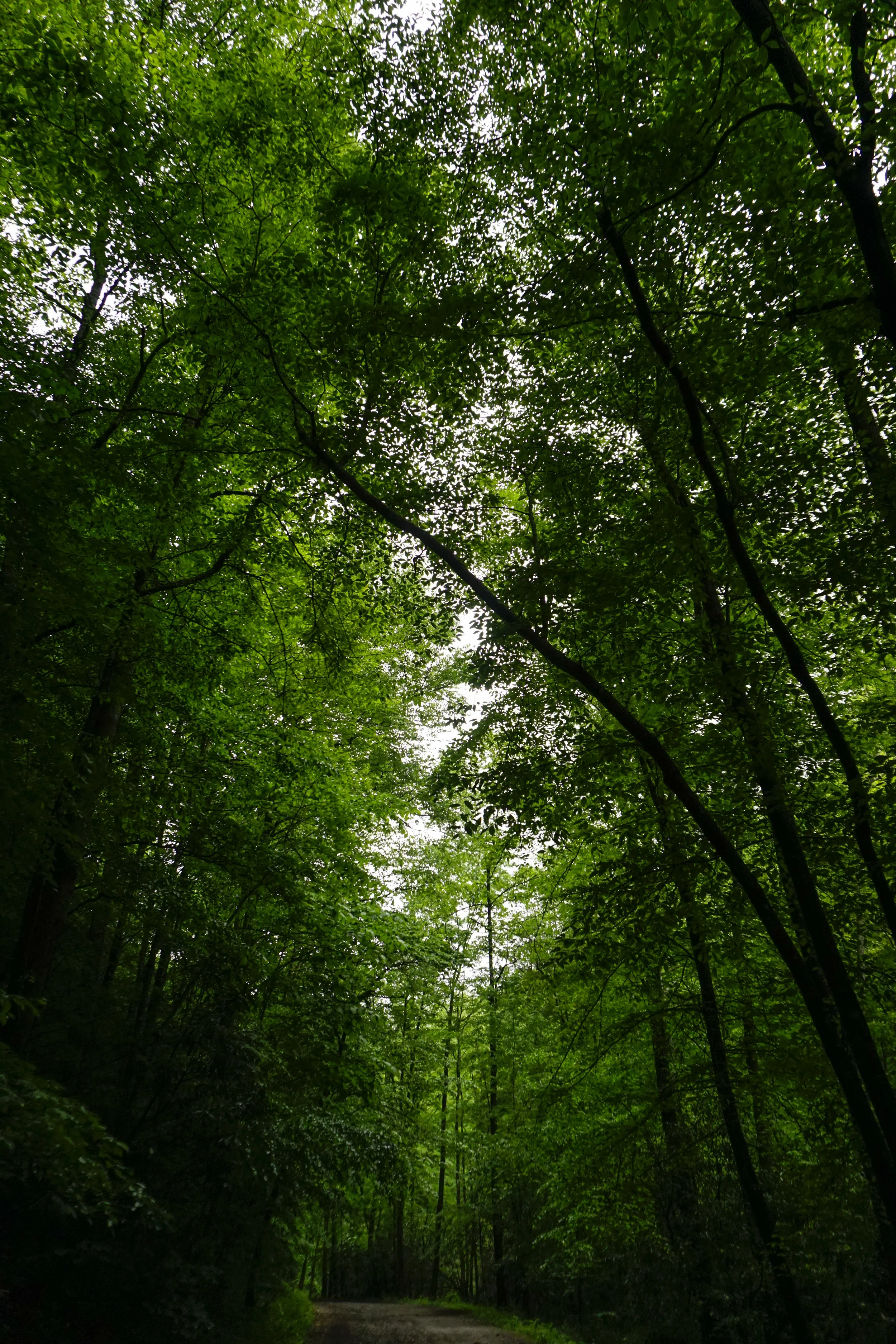 DSC3346 LR-3346.jpg
