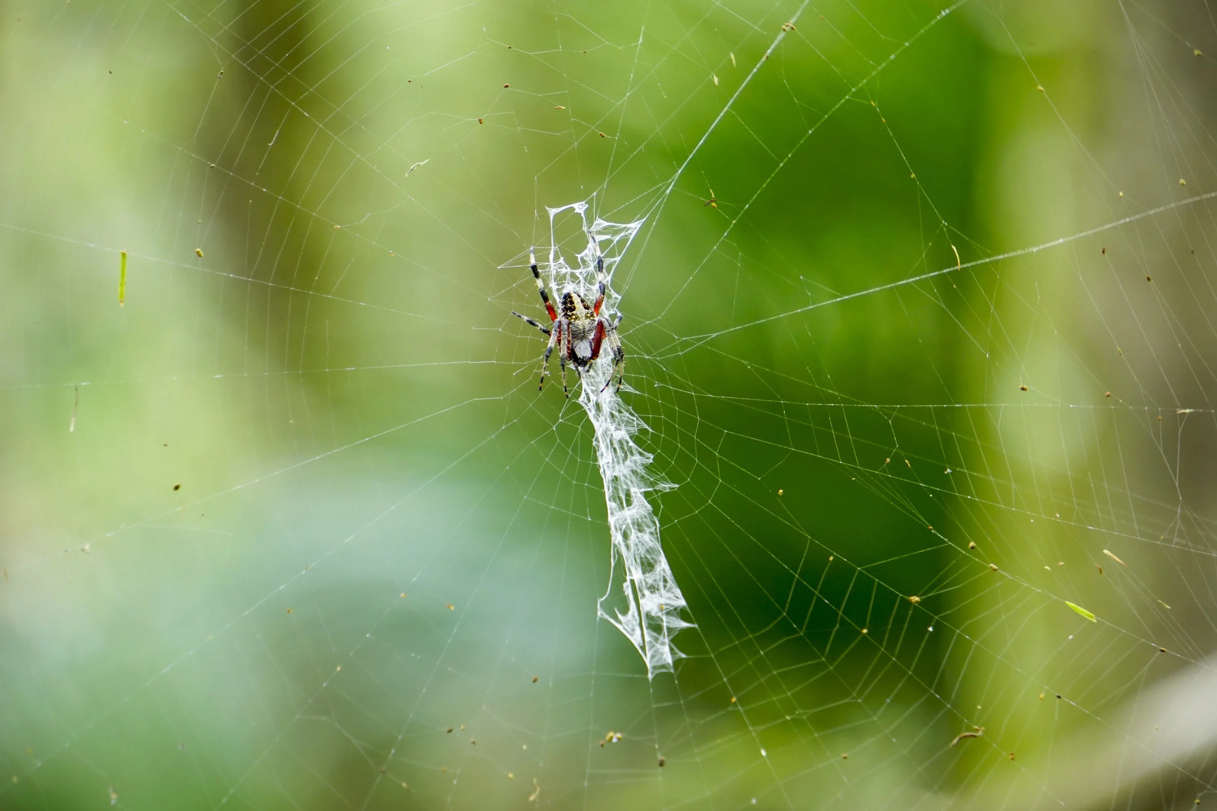 DSC4086 LR-4086.jpg