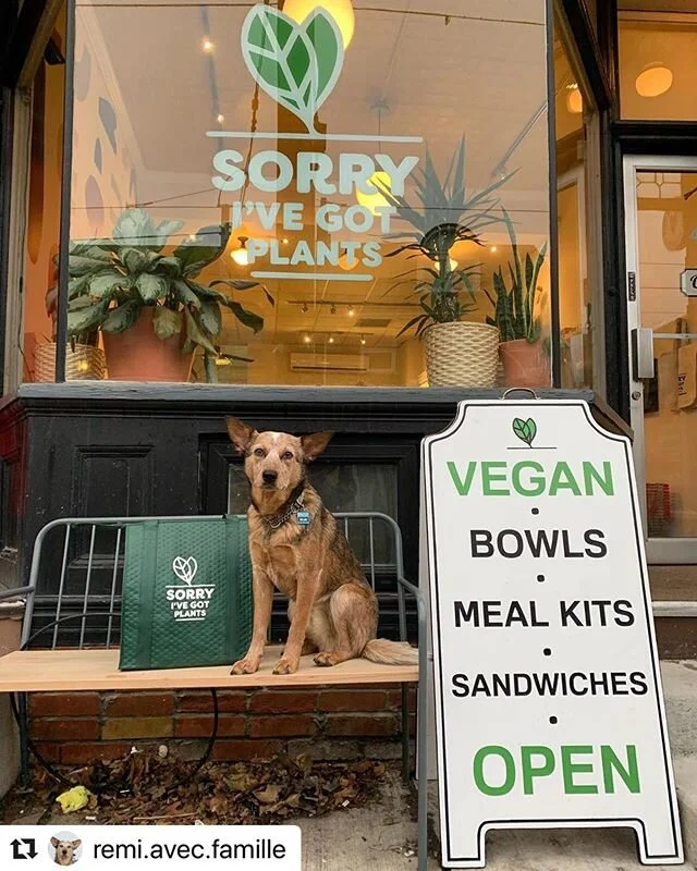 OMG!!🥰 we had to share this! Vegan food &amp; Dogs!! 🐶 game over Instagram!! 😉🌿 #wintheinternet