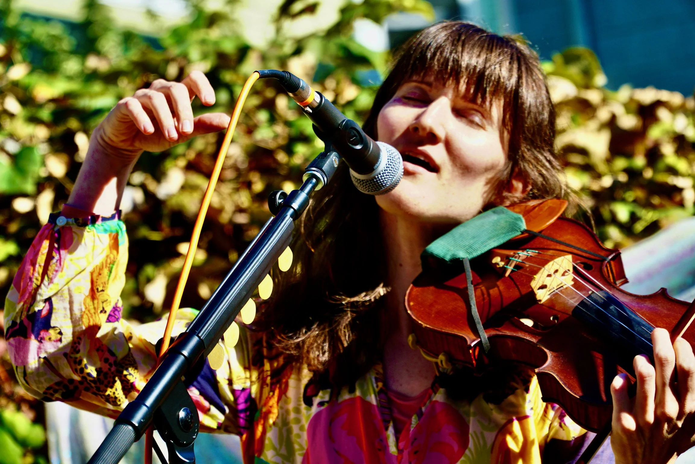 House Show with Lee Zangari