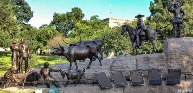 TXAUStejano_norma_620x300.jpg