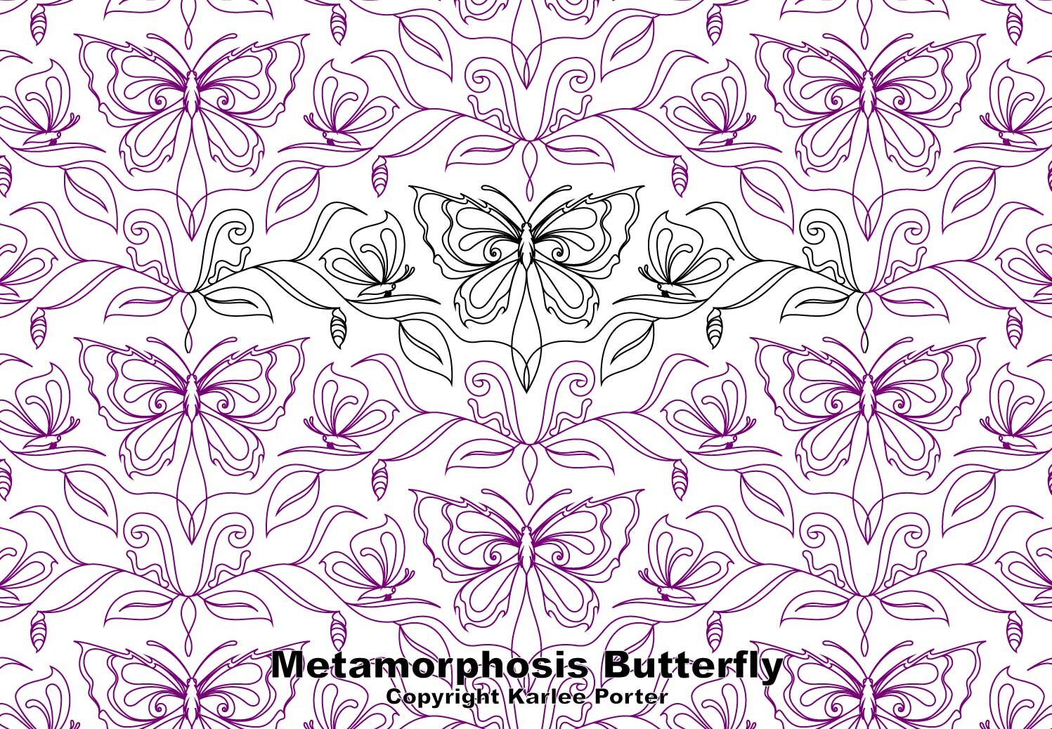 Metamorphosis Butterfly