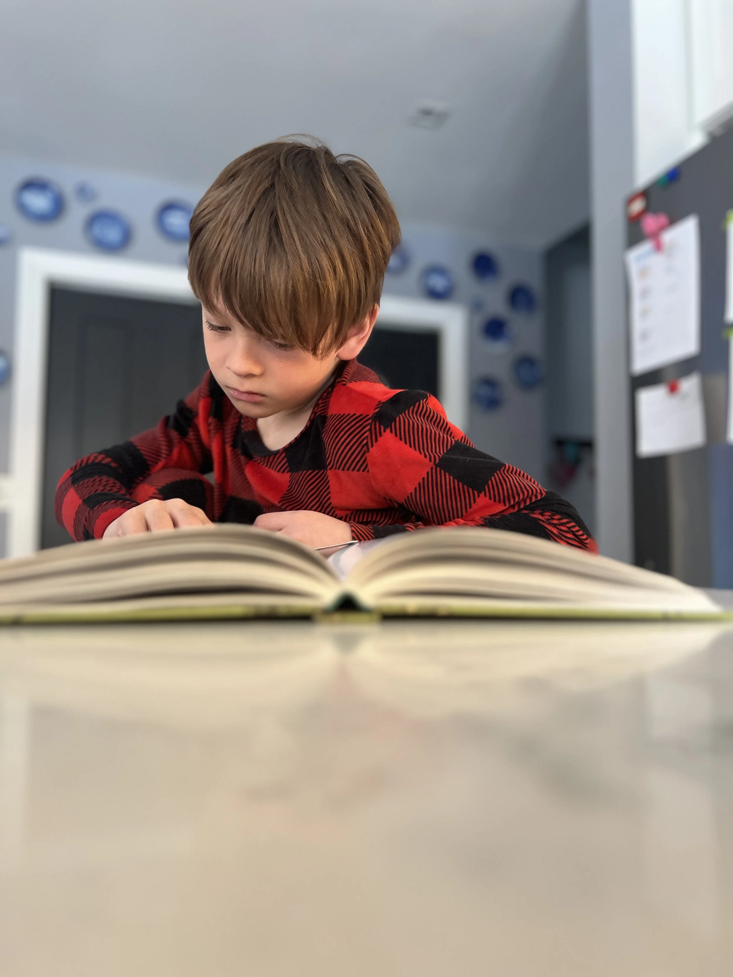 Language Arts, Family Style: How We Use Read Aloud Revival in Our Homeschool