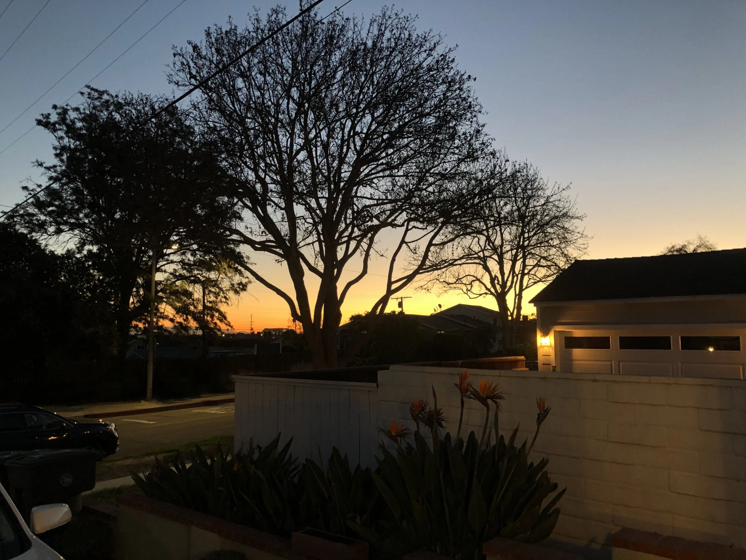 sunrise.jpg