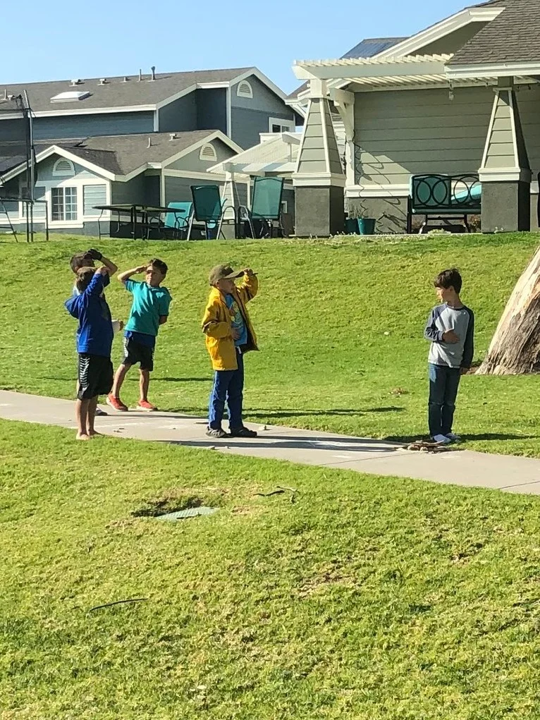 Backyard+anthem.jpg