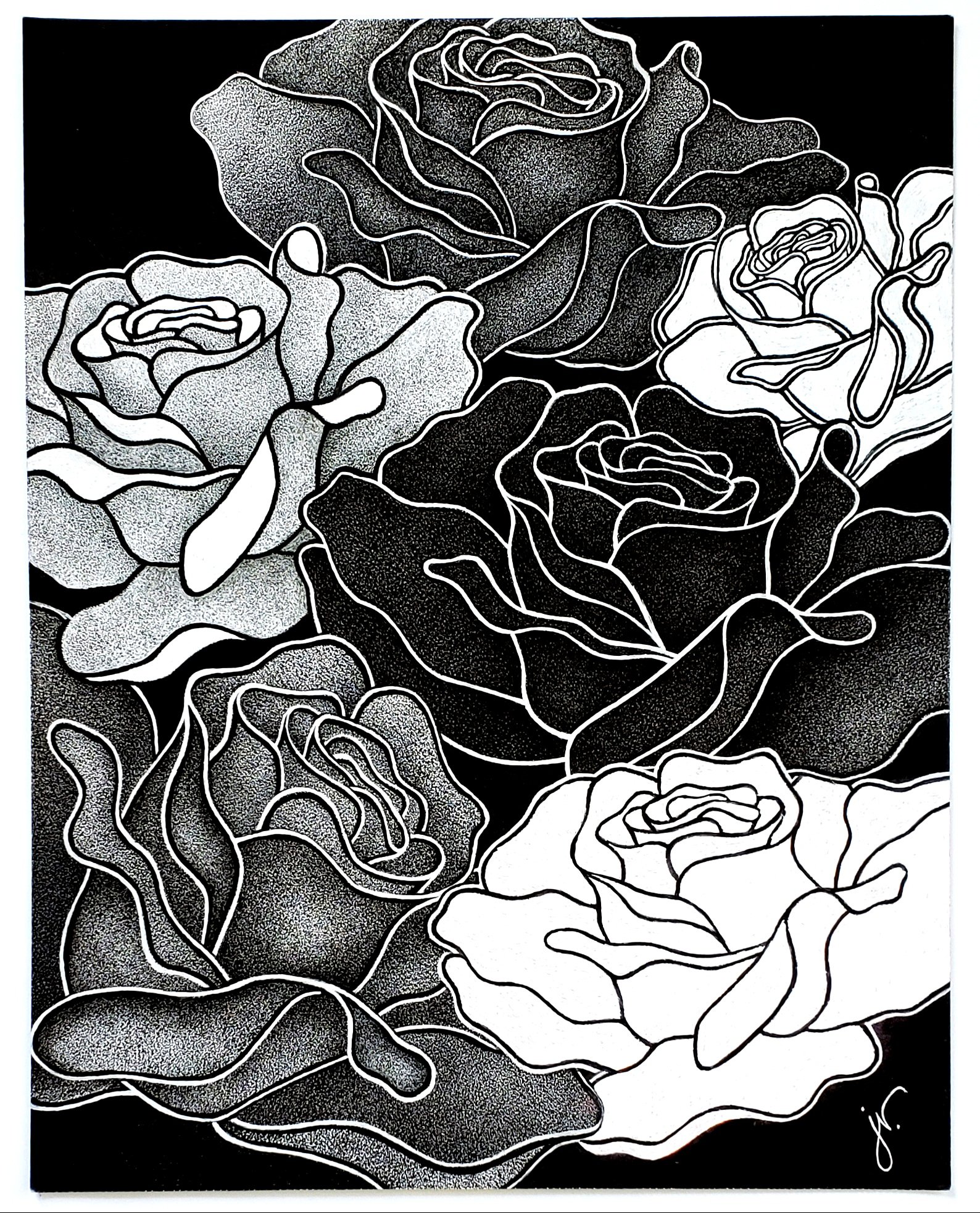 BLACK ROSE WHITE ROSE