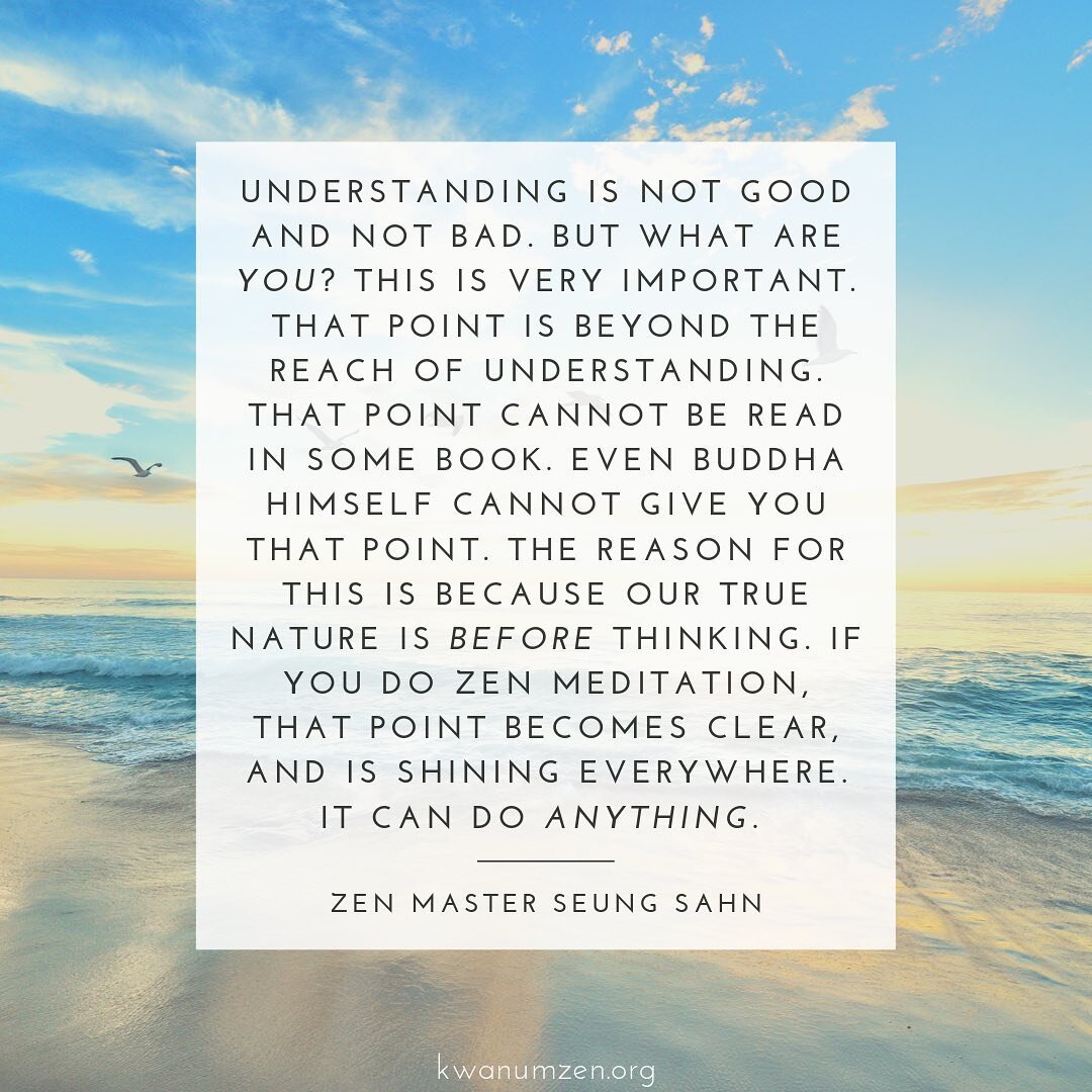 &quot;Understanding is not good or bad. But what are you?&quot; Quote by Zen Master Seung Sahn. #zen #meditation #buddha #truenature #beforethinking #zmseungsahn #kwanumzen