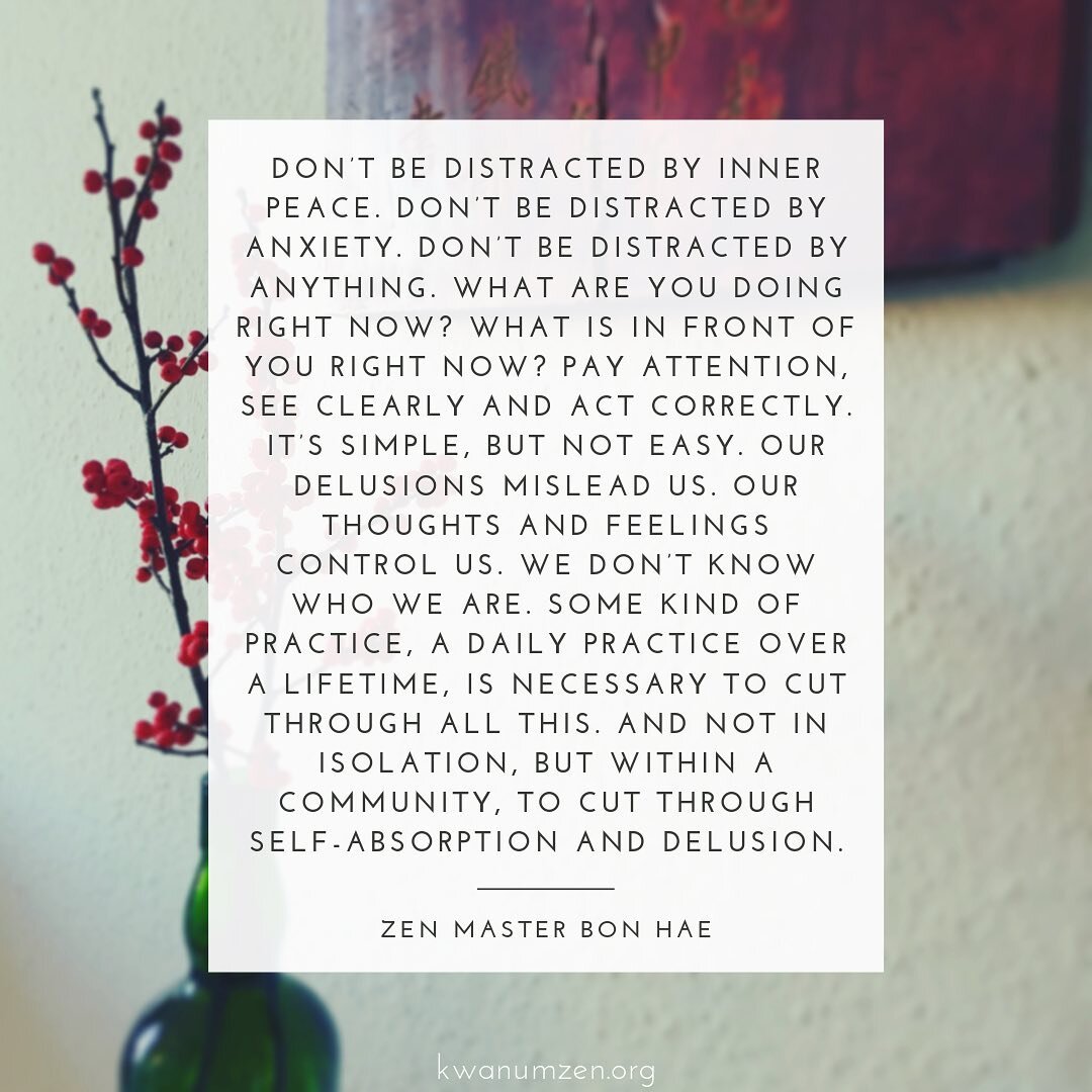 &quot;Don't be distracted by inner peace.&quot; Quote by Zen Master Bon Hae. #zen #innerpeace #seeclearly #meditation #community #sangha #kwanumzen