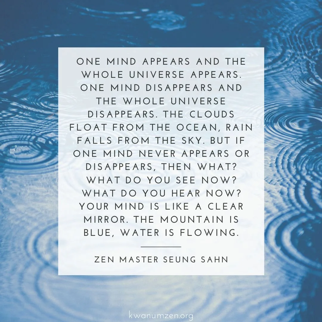 &quot;One mind appears and the whole universe appears.&quot; Quote by Zen Master Seung Sahn. #zen #mind #universe #clear #zmseungsahn #kwanumzen