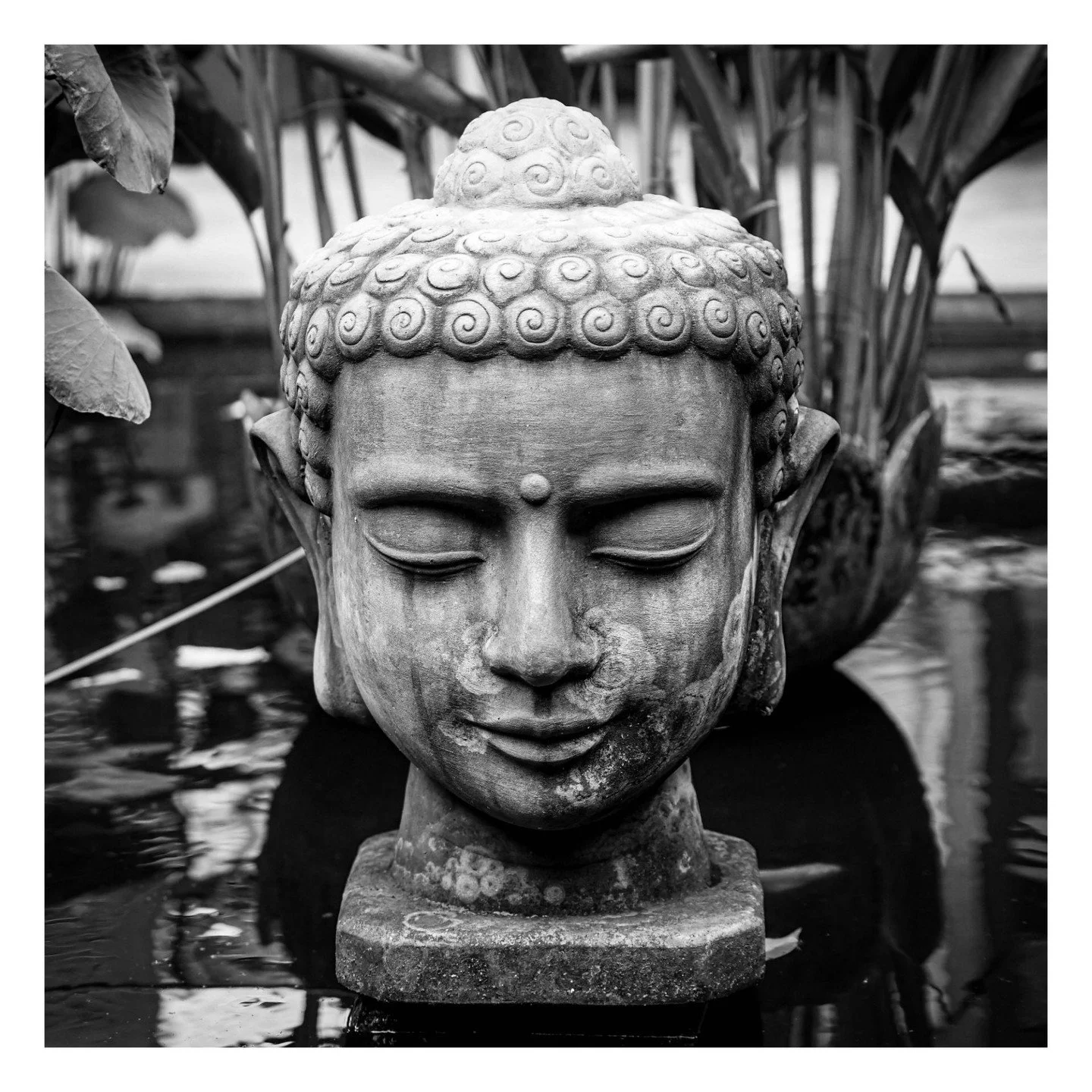 &quot;Enough mind&quot; means you&rsquo;ve got enough. You don&rsquo;t need anything else. The First Noble Truth states that life is suffering. Sometimes we say life is unsatisfactory. Why is it unsatisfactory? It always needs to be a little bit diff