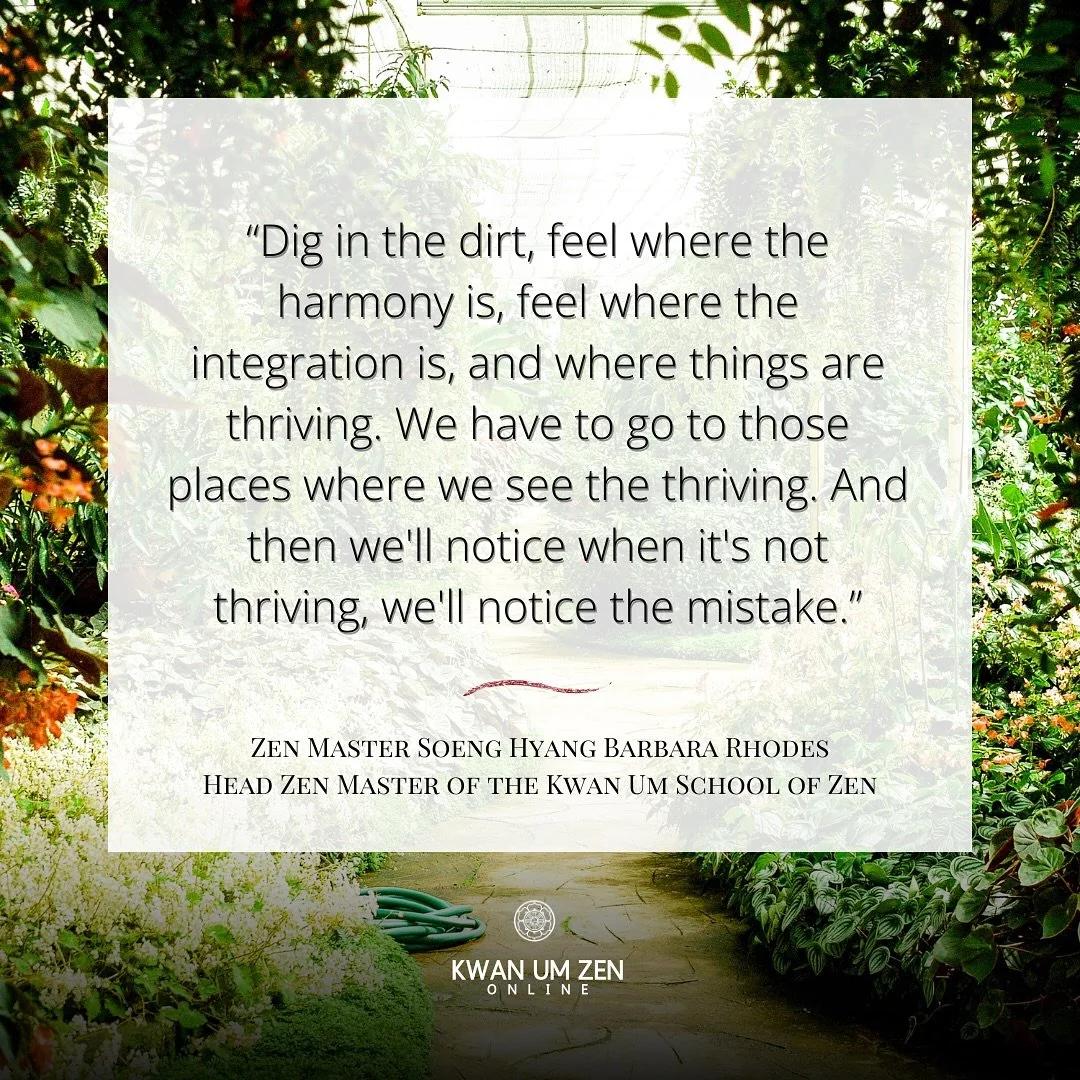 &ldquo;Dig in the dirt, feel where the harmony is, feel where the integration is,and where things are thriving. We have to go to those places where we see the thriving. And then we&rsquo;ll notice when it&rsquo;s not thriving, we&rsquo;ll notice the 