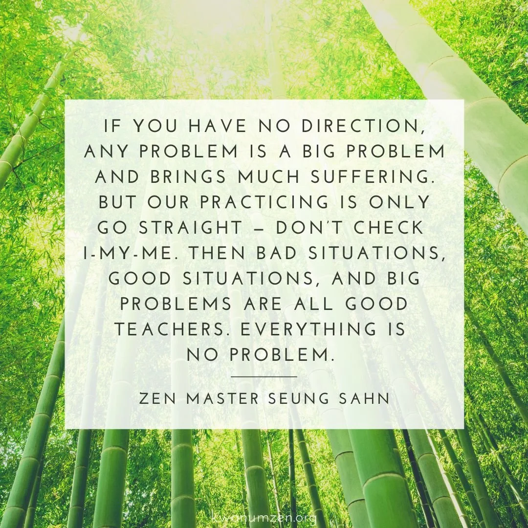 &quot;If you have no direction, any problem is a big problem and brings much suffering...&quot; Quote by Zen Master Seung Sahn. #zen #meditation #direction #zmseungsahn #dontcheck #goodsituationbadsituation #noproblem #kwanumzen