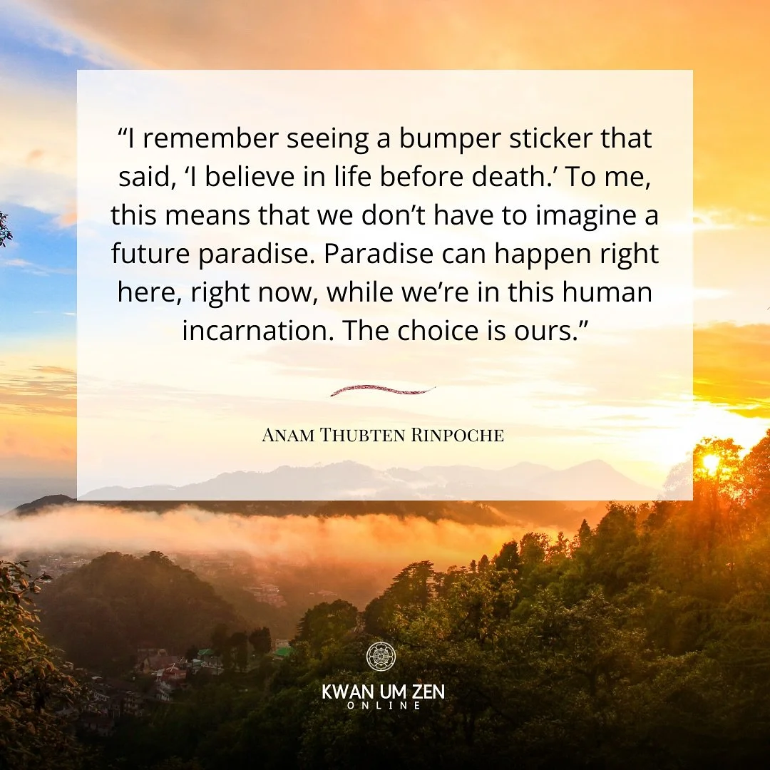 🗺 &ldquo;I remember seeing a bumper sticker that said, &ldquo;I believe in life before death.&rdquo; To me, this means that we don&rsquo;t have to imagine a future paradise. Paradise can happen right here, right now, while we&rsquo;re in this human 