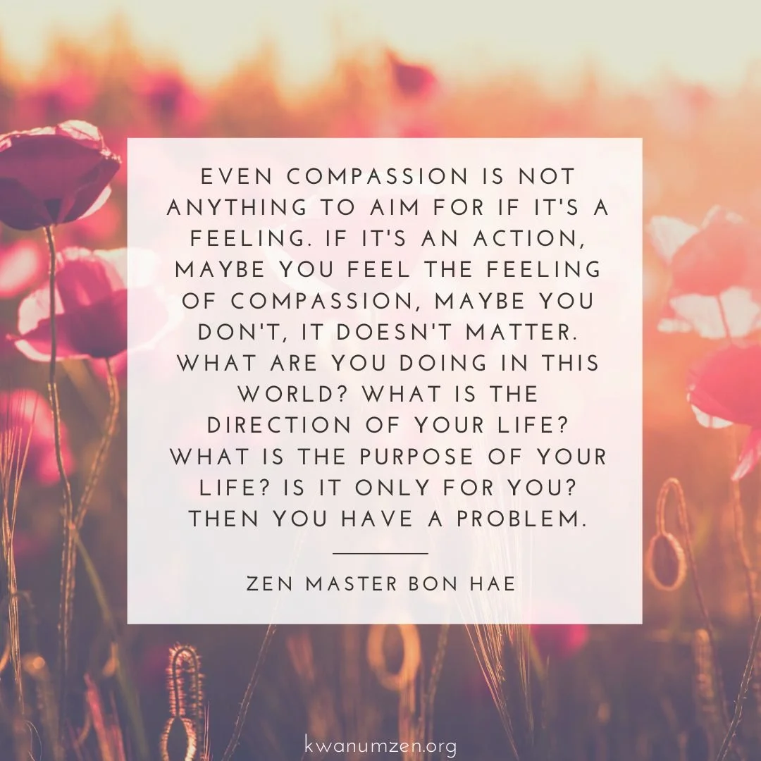 &quot;Even compassion is not anything to aim for if it's a feeling.&quot; Quote by Zen Master Bon Hae. #zen #compassion #feelings #action #direction #purpose #kwanumzen