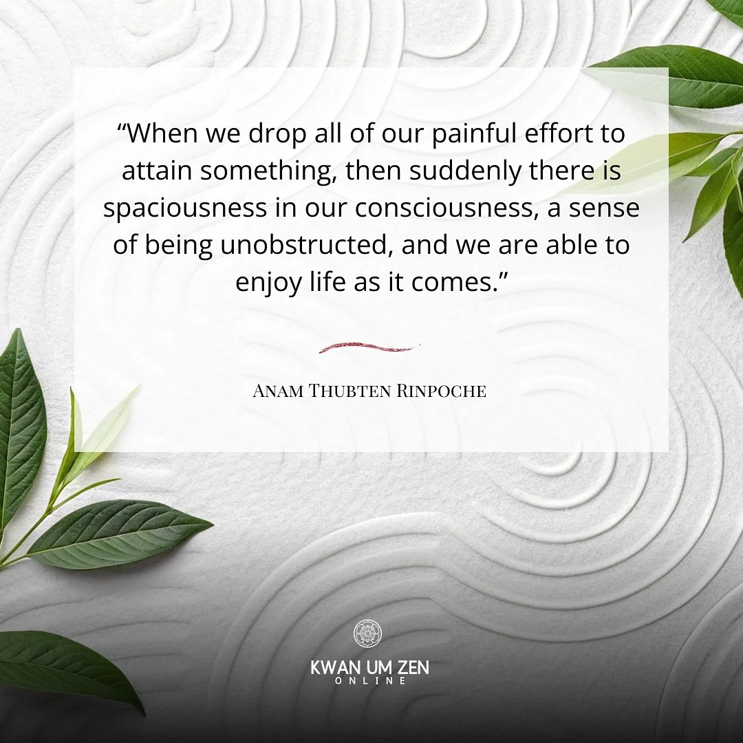 &ldquo;When we drop all of our painful effort to attain something, then suddenly there is spaciousness in our consciousness, a sense of being unobstructed, and we are able to enjoy life as it comes.&rdquo; - Anam Thubten Rinpoche

 👉Tune in Sunday, 