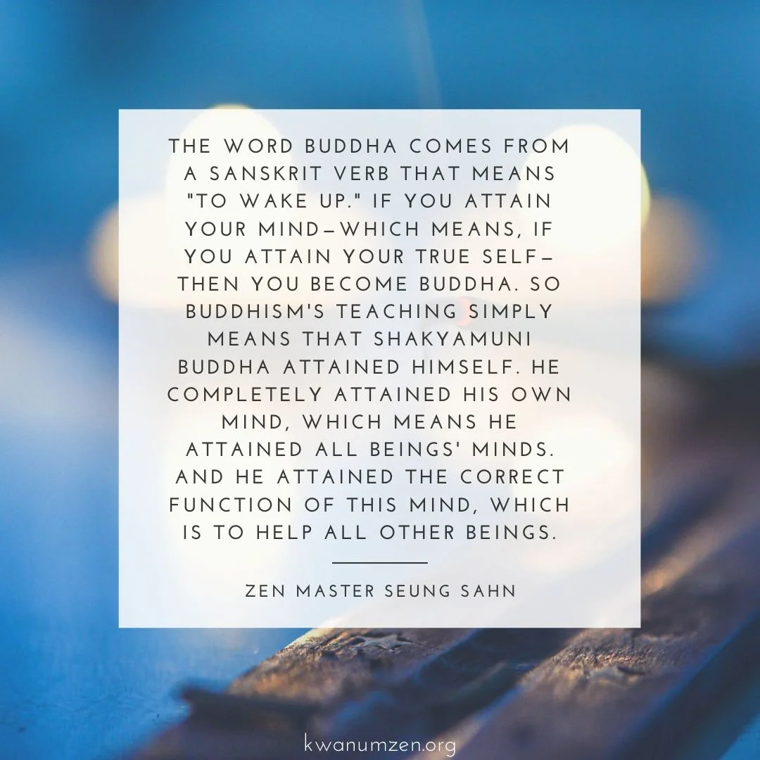 &quot;Buddha is really not special.&quot; Quote by Zen Master Seung Sahn. #zen #buddha #buddhism #trueself #attainment #zmseungsahn #kwanumzen