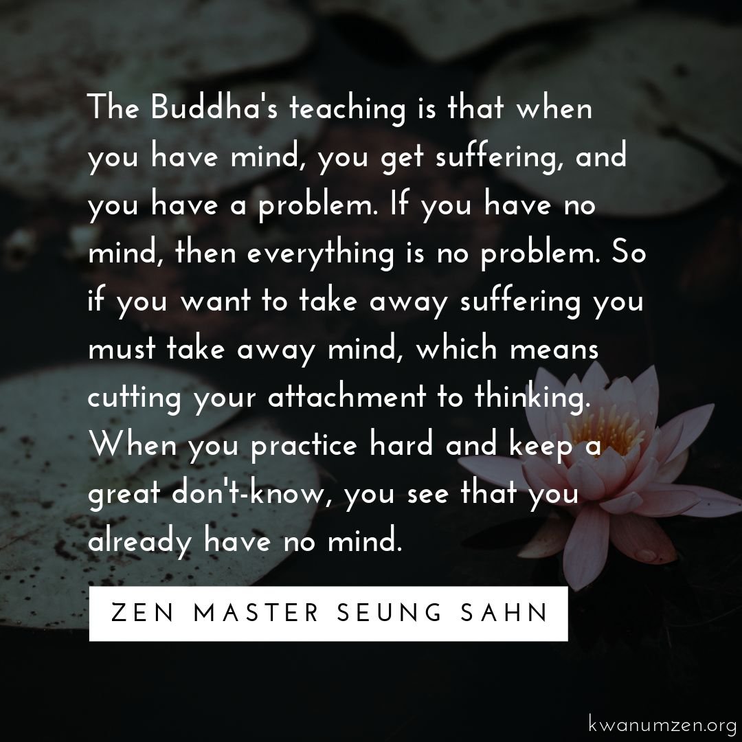 &quot;The Buddha's teaching is that when you have mind, you get suffering, and you have a problem.&quot; Quote by Zen Master Seung Sahn. #zen #buddha #buddhism #dharma #mind #suffering #thinking #attachment #dontknow #zmseungsahn #kwanumzen