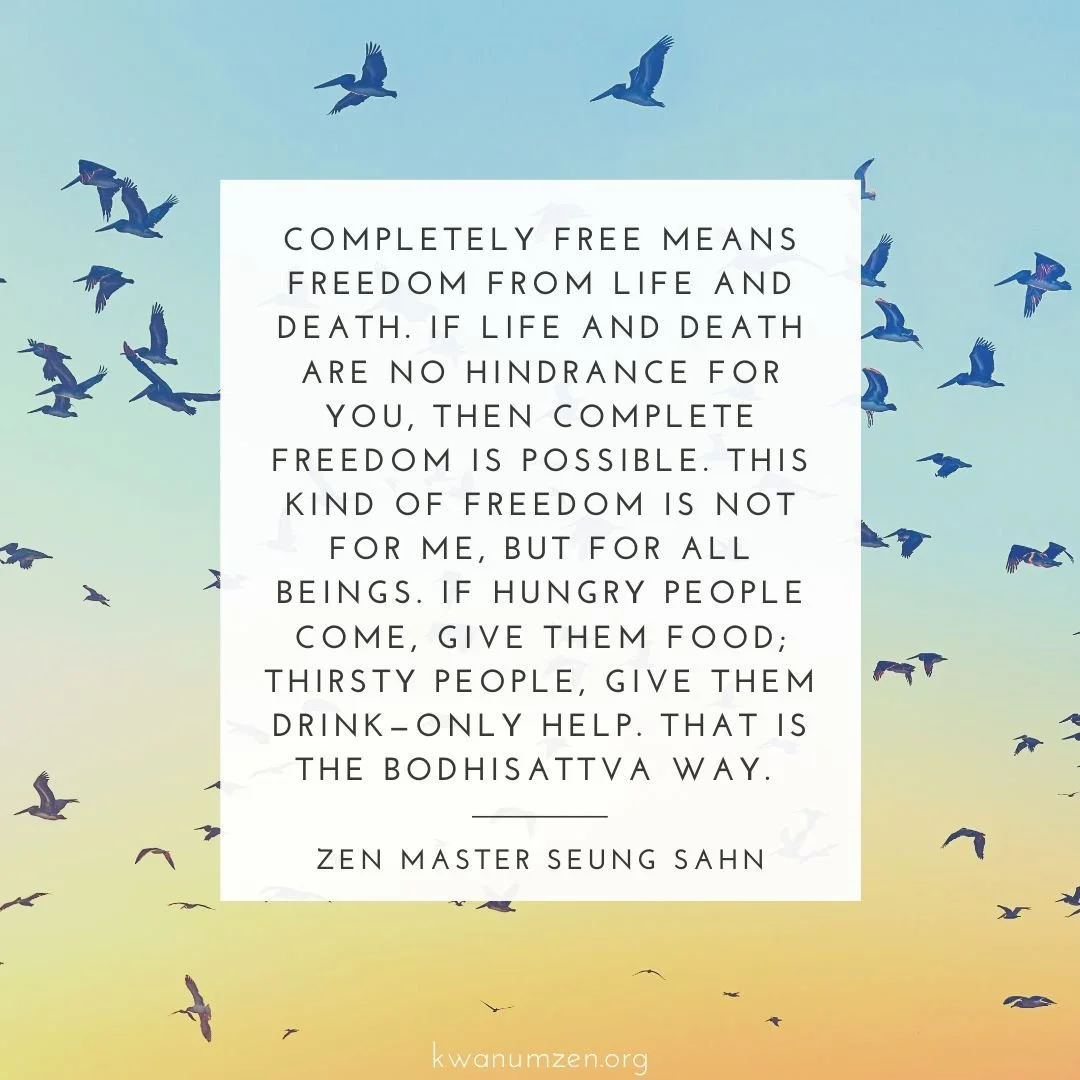 &quot;Completely free means freedom from life and death.&quot; Quote by Zen Master Seung Sahn. #zen #freedom #buddhism #lifeanddeath #bodhisattva #zmseungsahn #kwanumzen