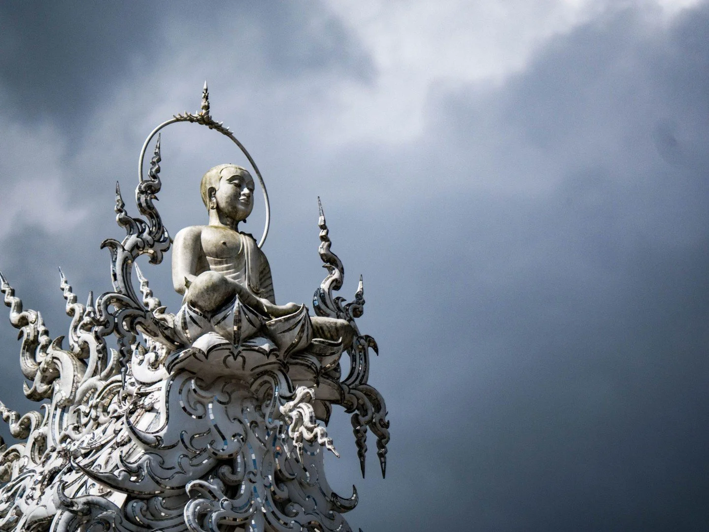 Anytime, anyplace you must not forget your true direction. Why do you eat every day? When you are born, where do you come from? When you die, where do you go? &quot;Coming empty-handed, going empty-handed &mdash; that is human.&quot; Everybody comes 