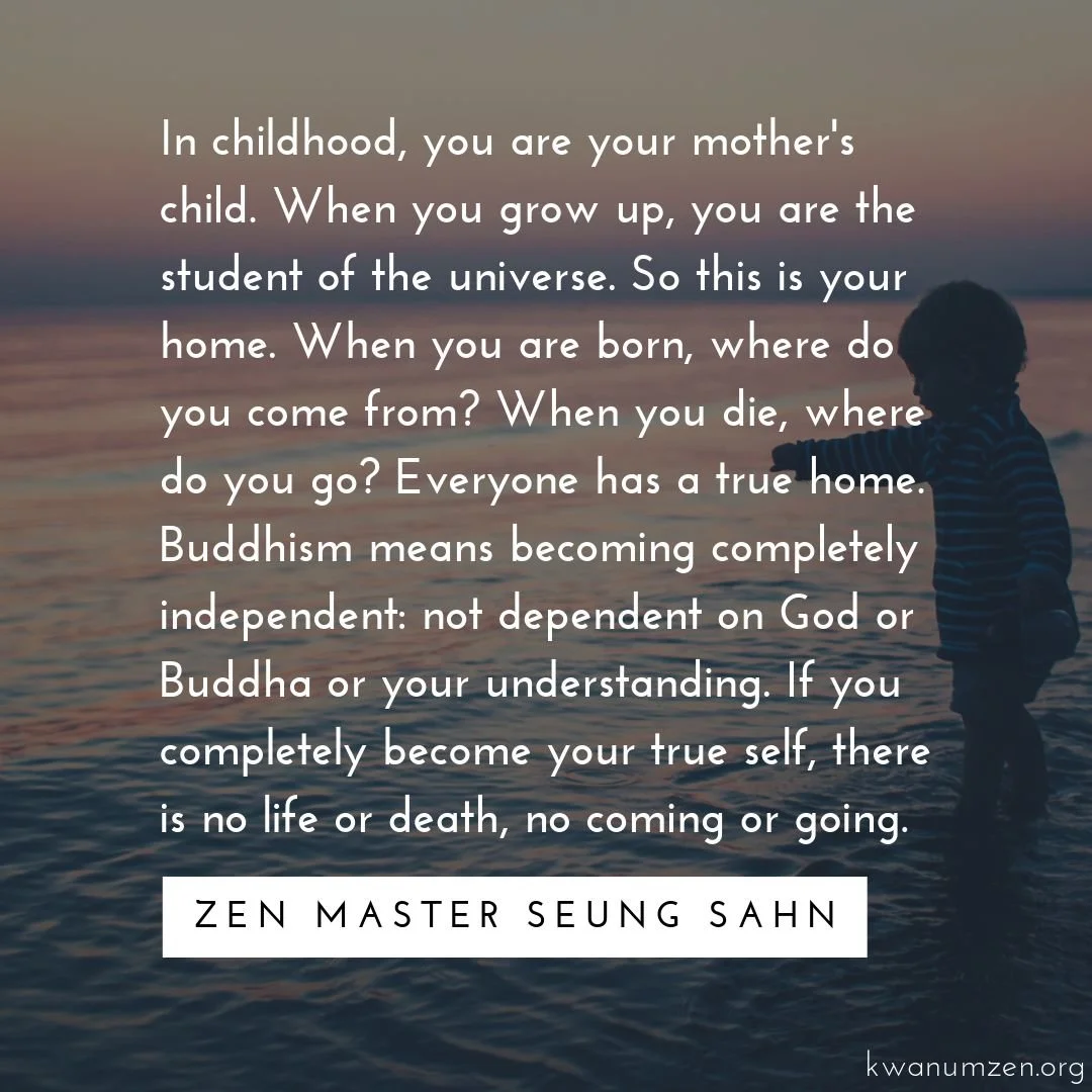 &quot;In childhood, you are your mother's child. When you grow up, you are the student of the universe.&quot; Quote by Zen Master Seung Sahn. #zen #universe #truehome #independence #trueself #buddhism #zmseungsahn #kwanumzen