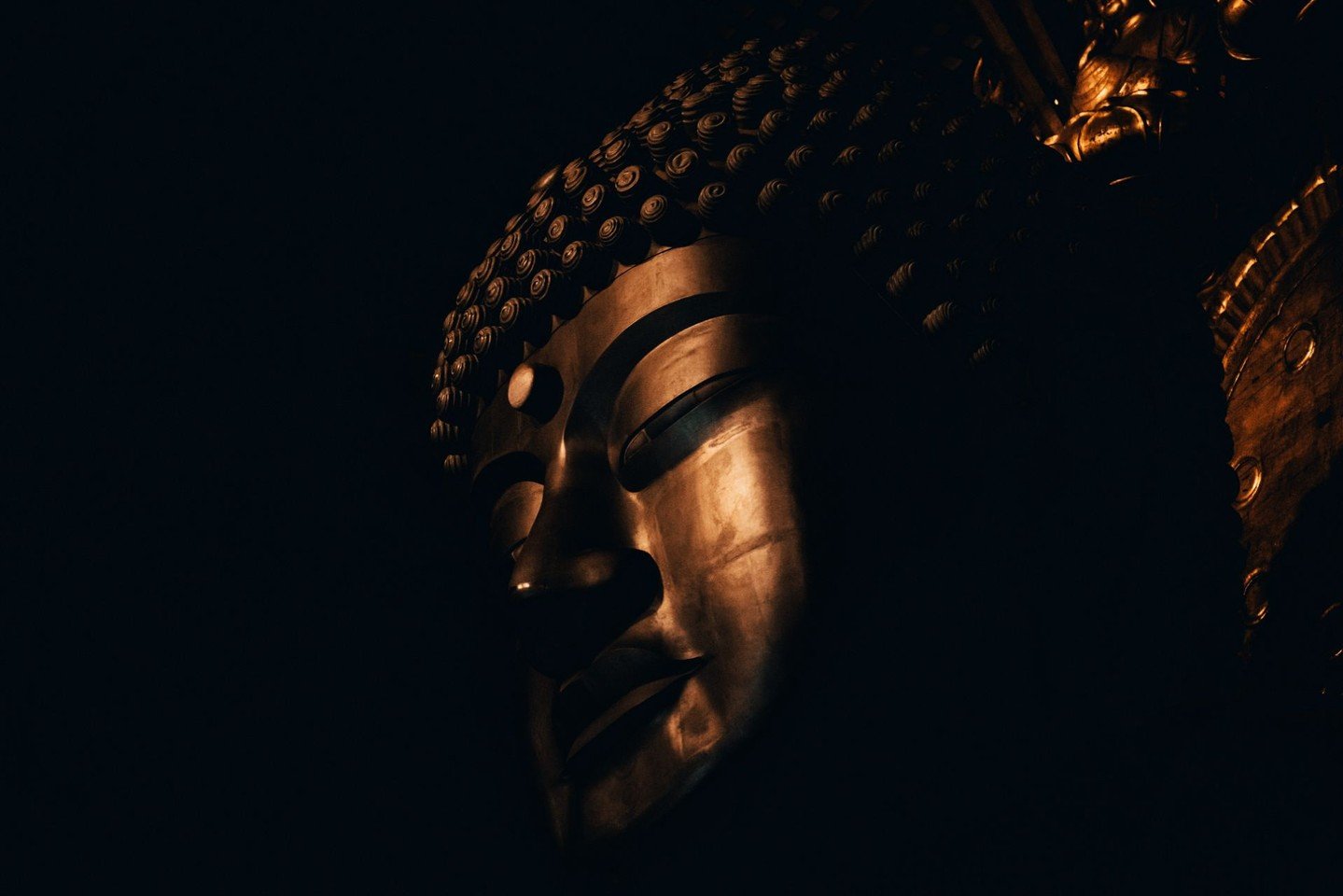 If you put on a light, it's bright and you can see sick people, happy people, everything. Without light you can't see anything. The world is the same either way; it's only whether we have light or not that makes a difference. If it's dark, everyone i